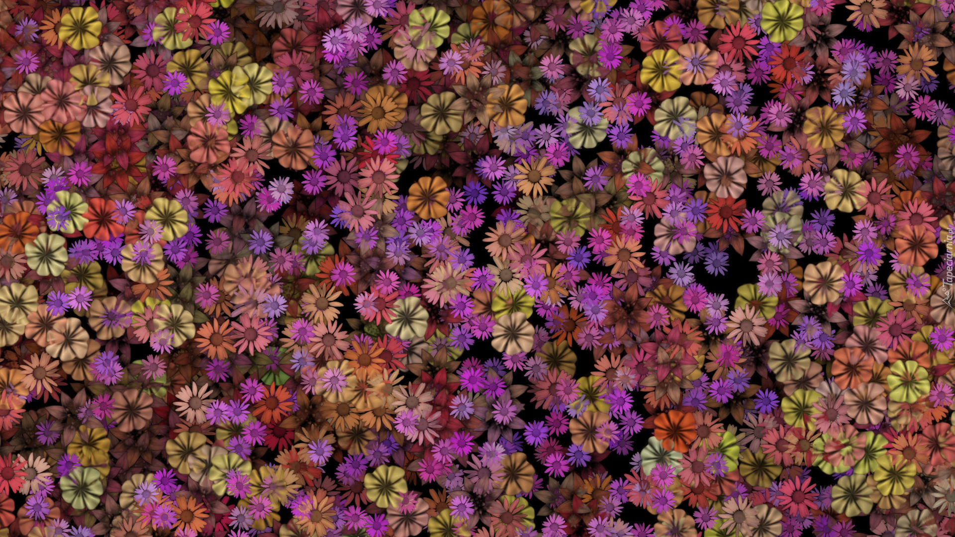Kwiaty, Tekstura, Grafika