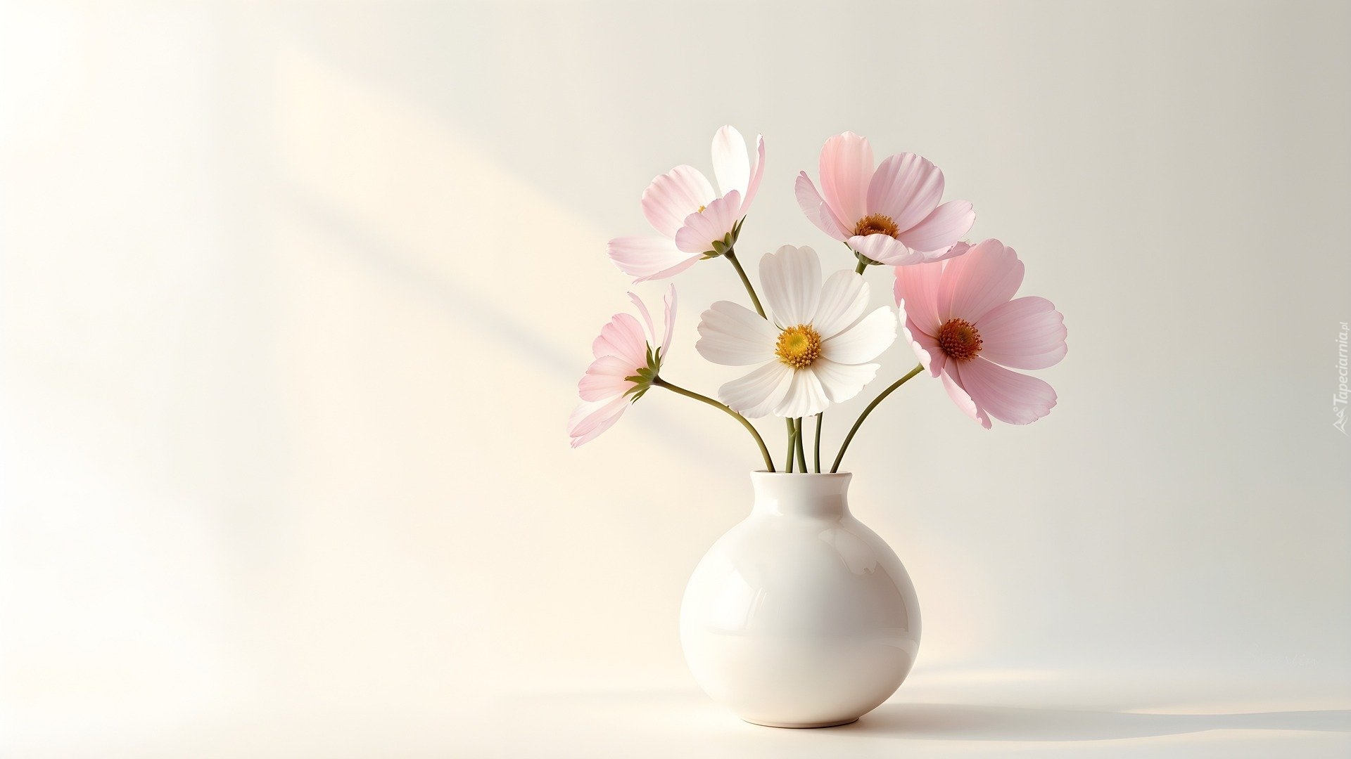 Kwiaty, Biały, Wazon