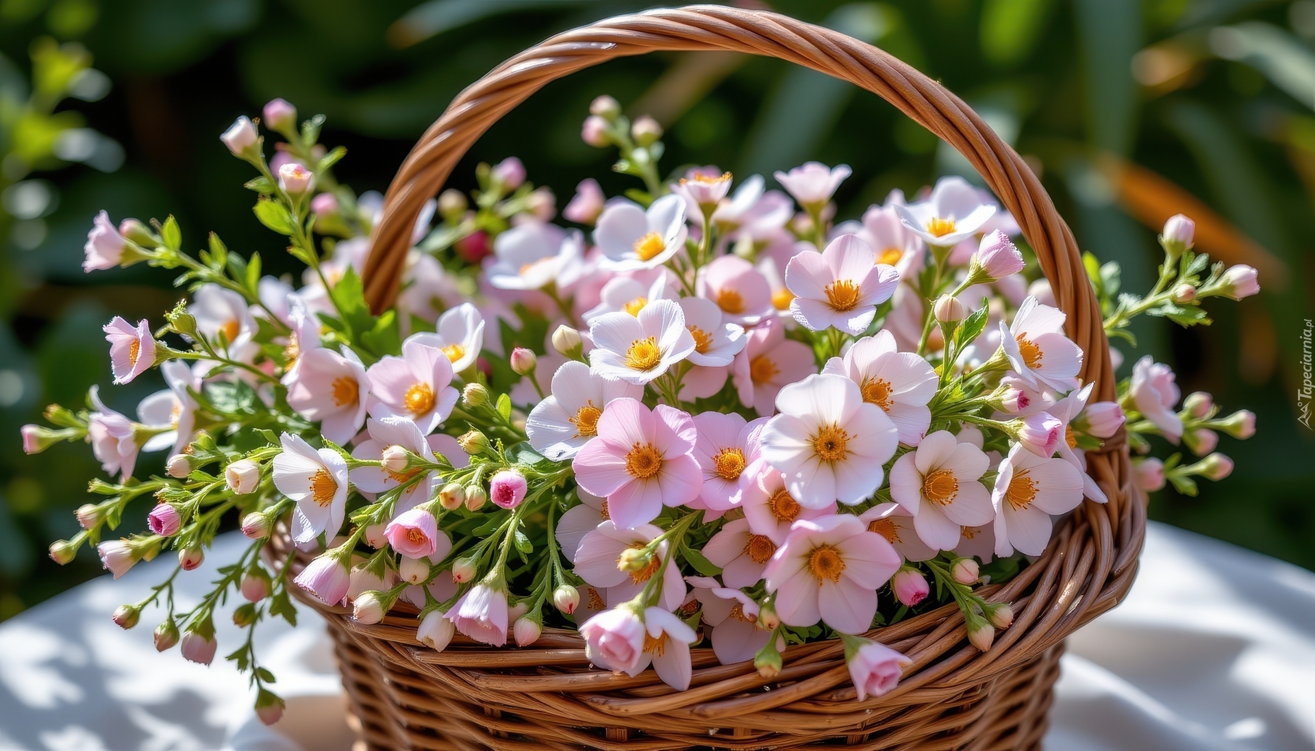 Różowe, Drobne, Kwiaty, Koszyk