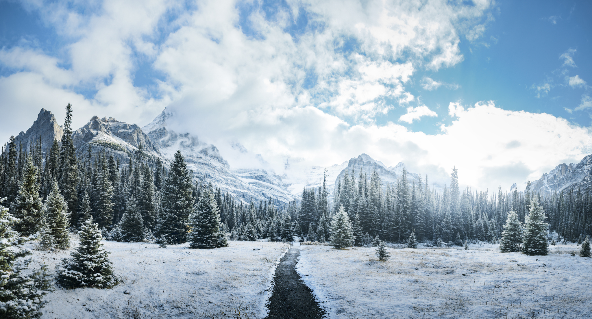 Zima, Góry, Canadian Rockies, Drzewa, Droga, Chmury, Park Narodowy Yoho, Kolumbia Brytyjska, Kanada