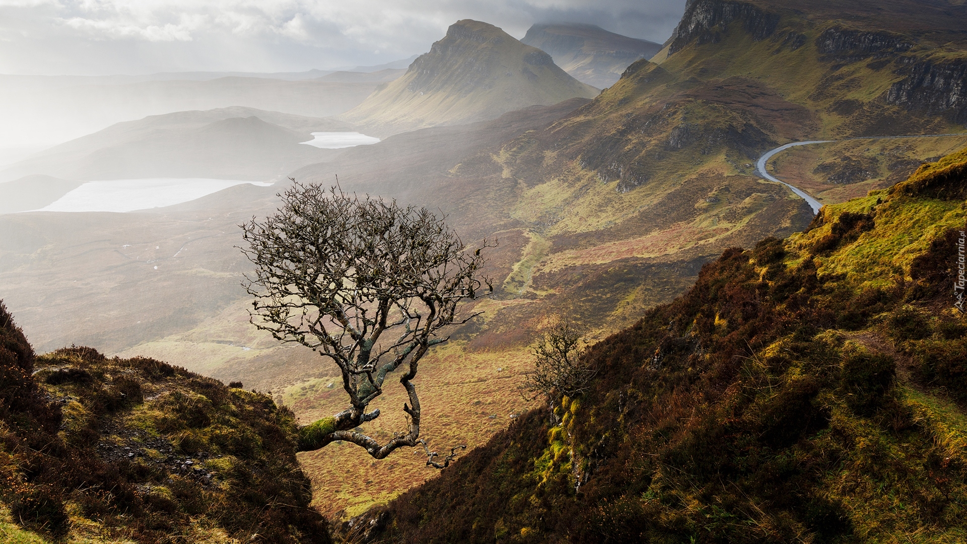 Góry, Skały, Drzewo, Jezioro, Mgła, Wzgórza, Quiraing, Wyspa, Skye, Szkocja