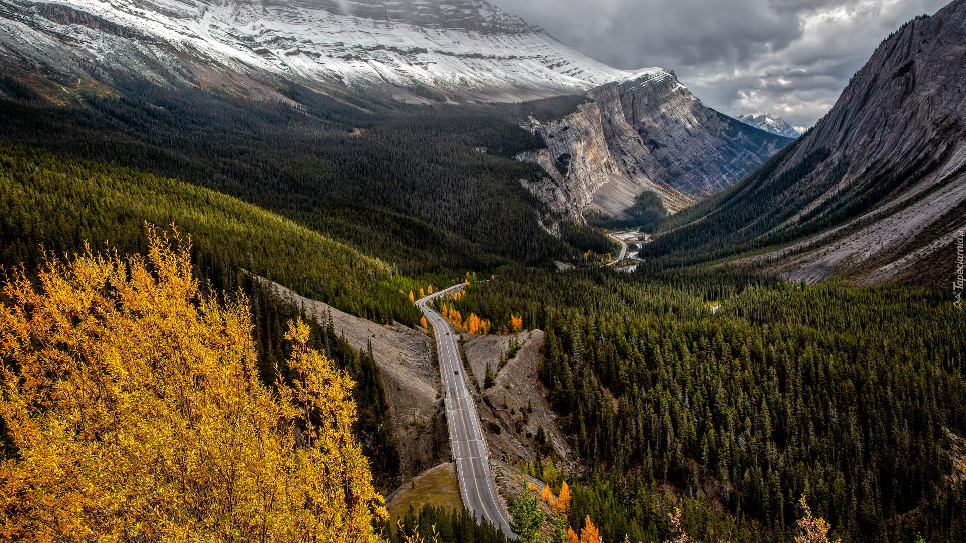 Droga, Icefields Parkway, Góry Skaliste, Lasy, Drzewa, Alberta, Kanada