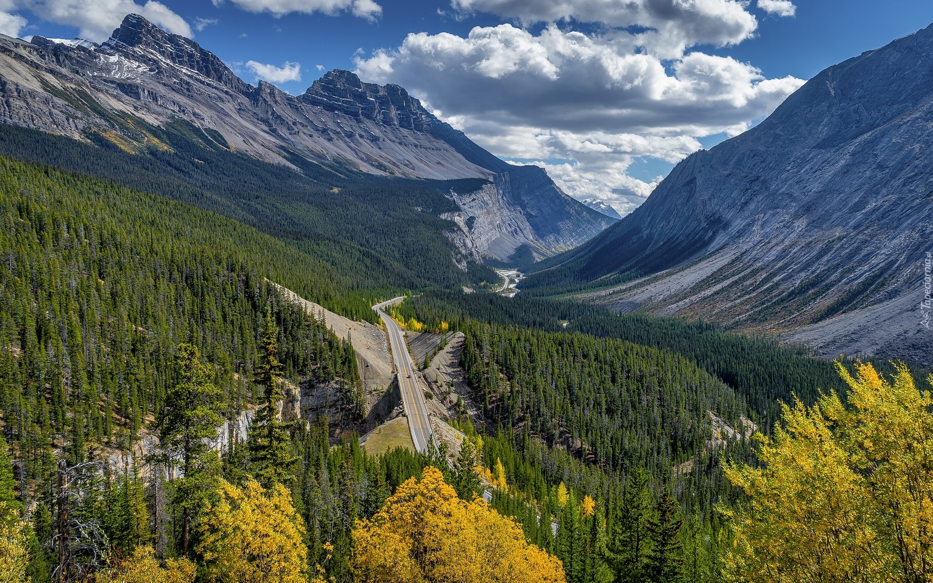 Góry Skaliste, Dolina, Lasy, Droga, Icefields Parkway, Drzewa, Alberta, Kanada