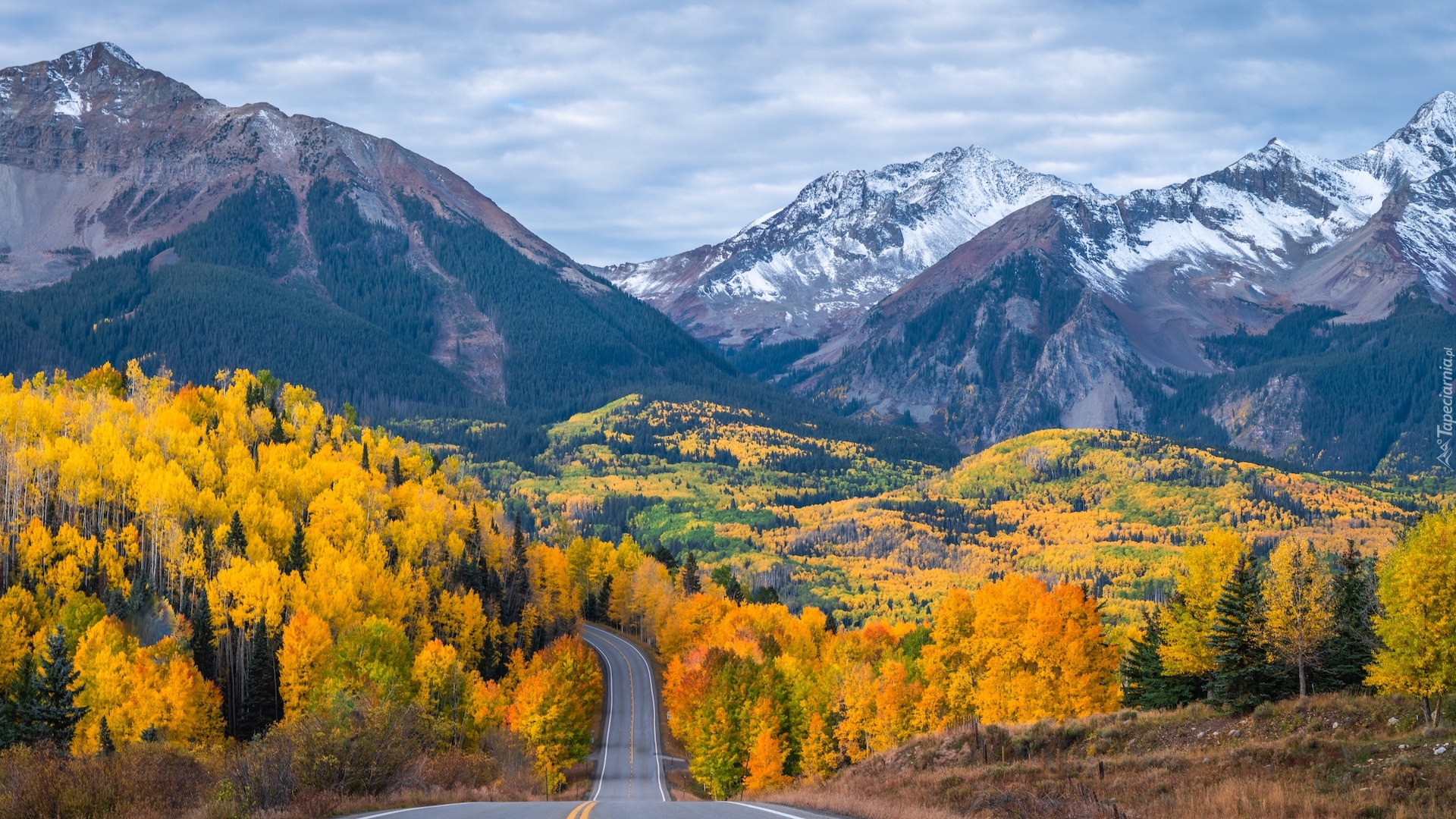 Stany Zjednoczone, Kolorado, Telluride, Góry, Drzewa, Jesień, Droga