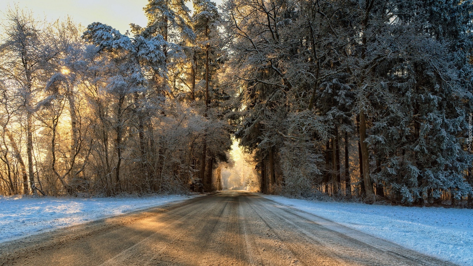 Zima, Przebijające światło, Droga, Las, Drzewa