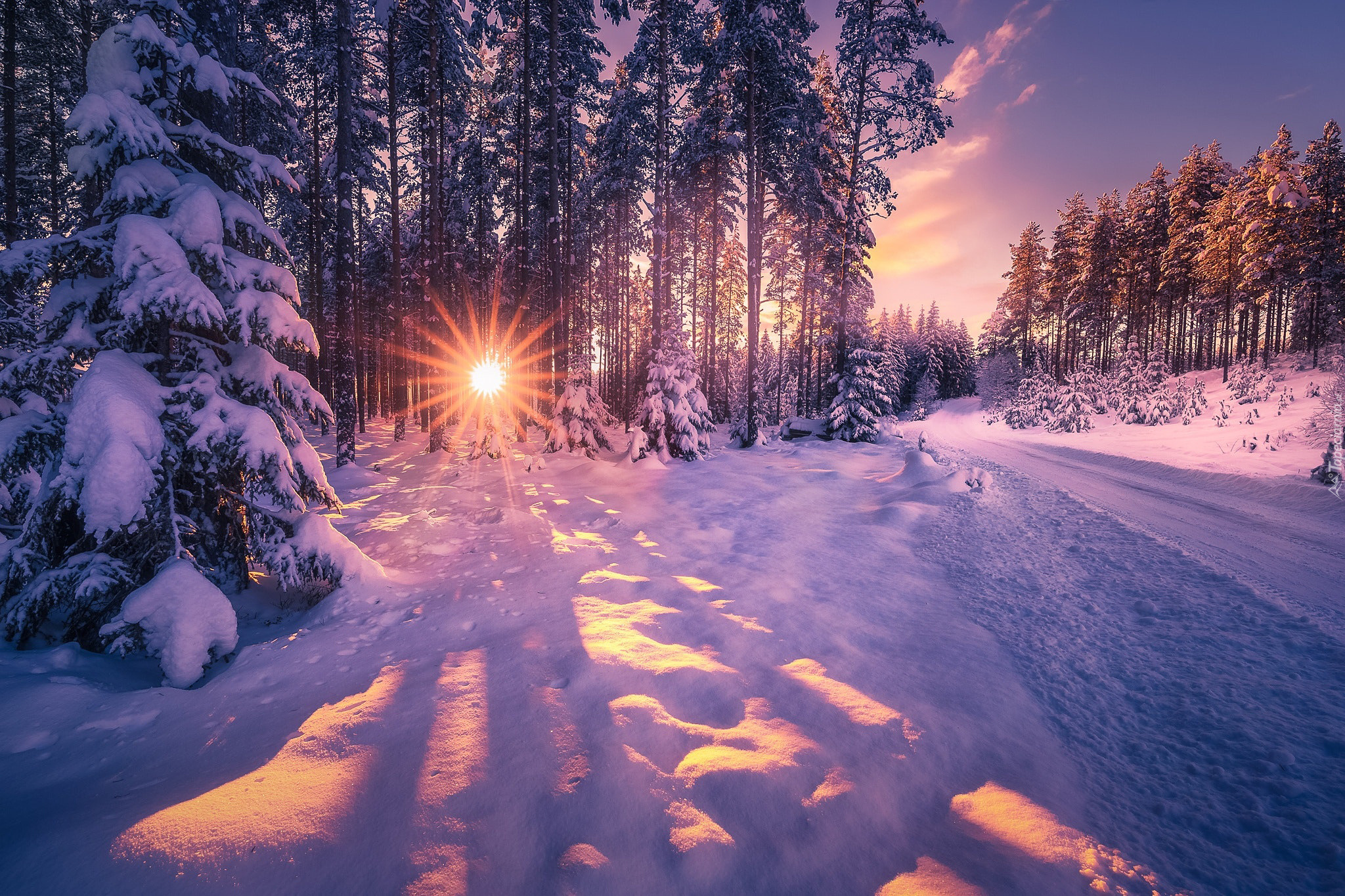 Zima, Śnieg, Las, Drzewa, Droga, Promienie słońca