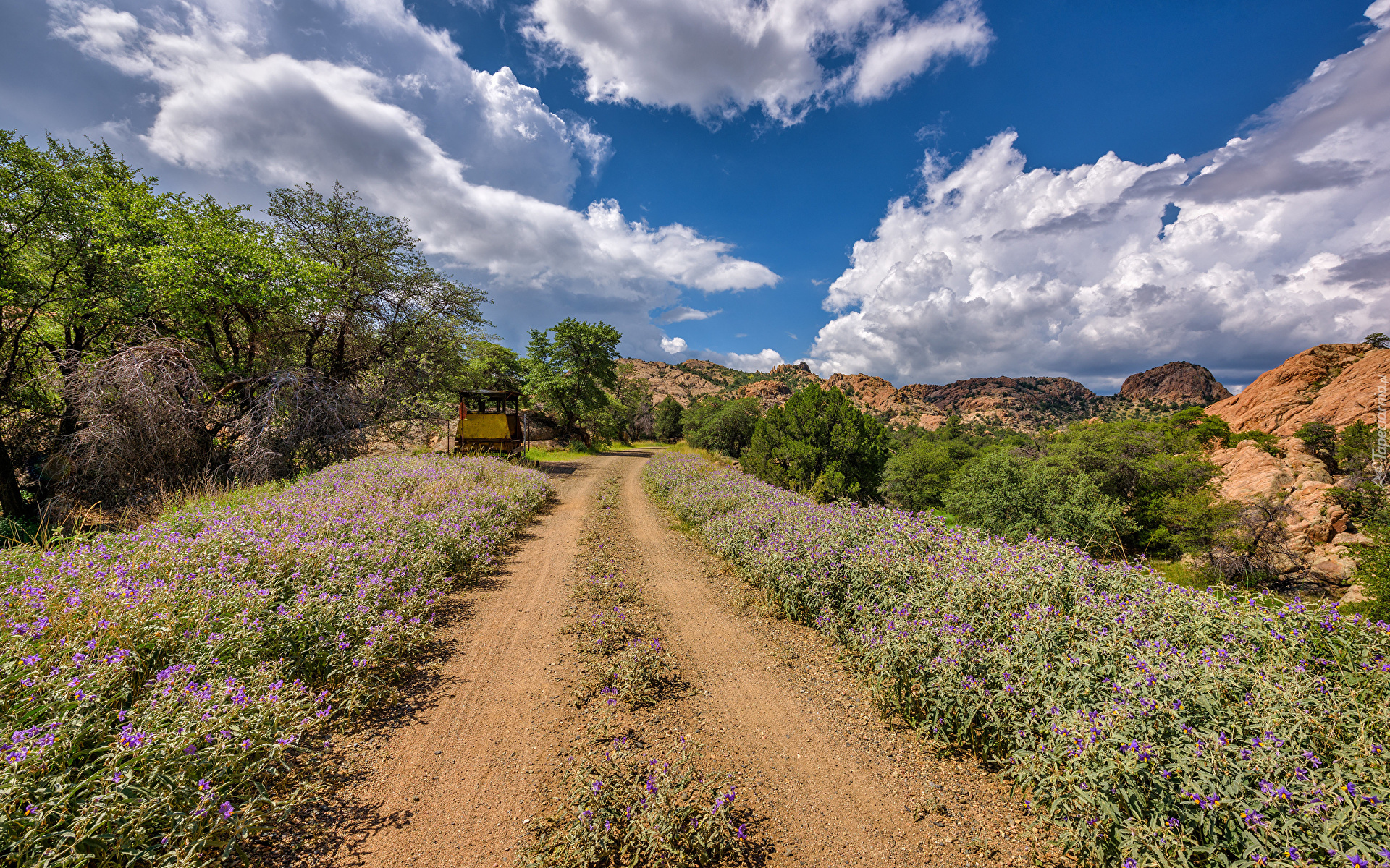 Droga, Niebo, Chmury, Trawa, Drzewa, Góry, Prescott Valley, Stan Arizona, Stany Zjednoczone