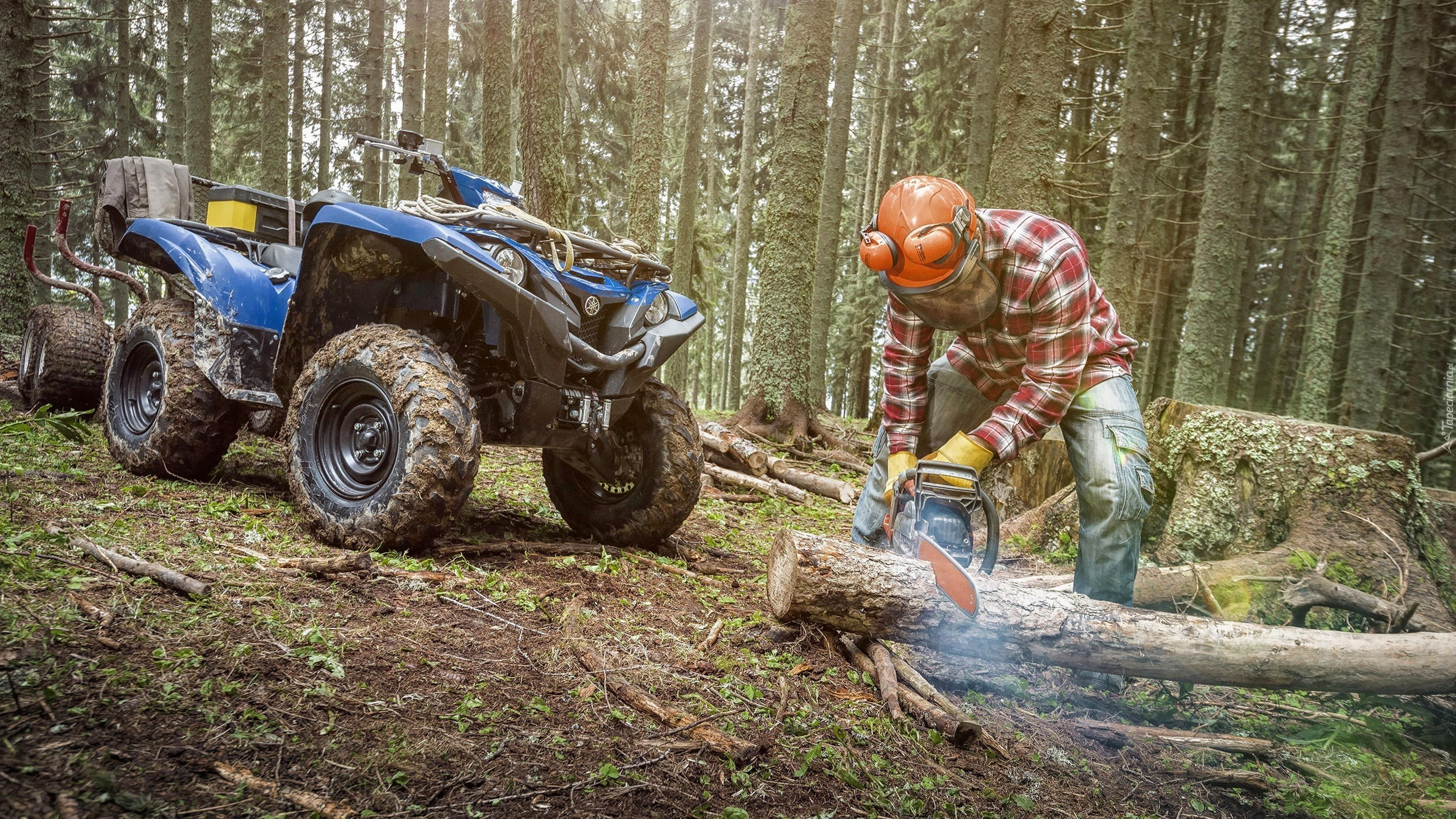 Quad, Yamaha Grizzly, Las, Drzewa, Drwal