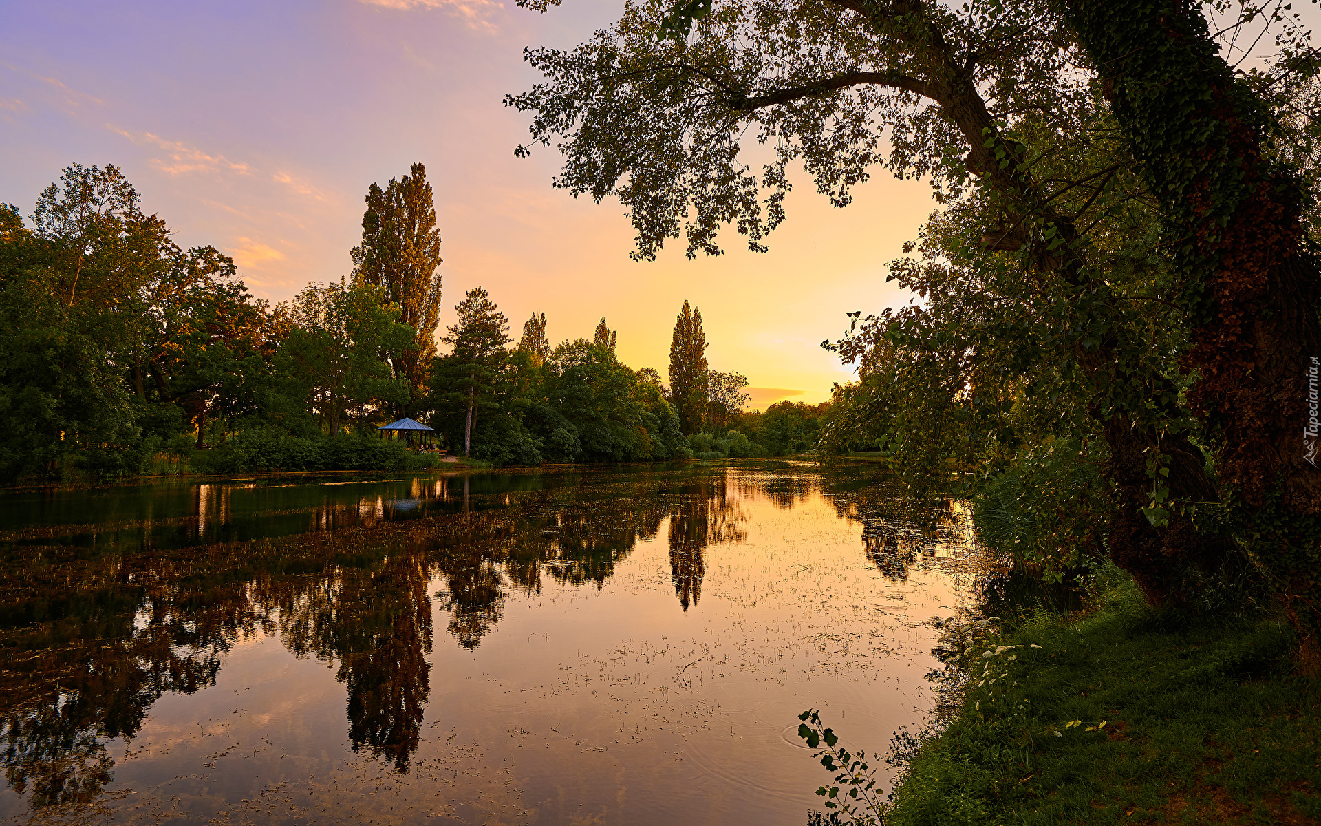 Zachód słońca, Staw, Park, Floridsdorfer Wasserpark, Drzewa, Wiedeń, Austria