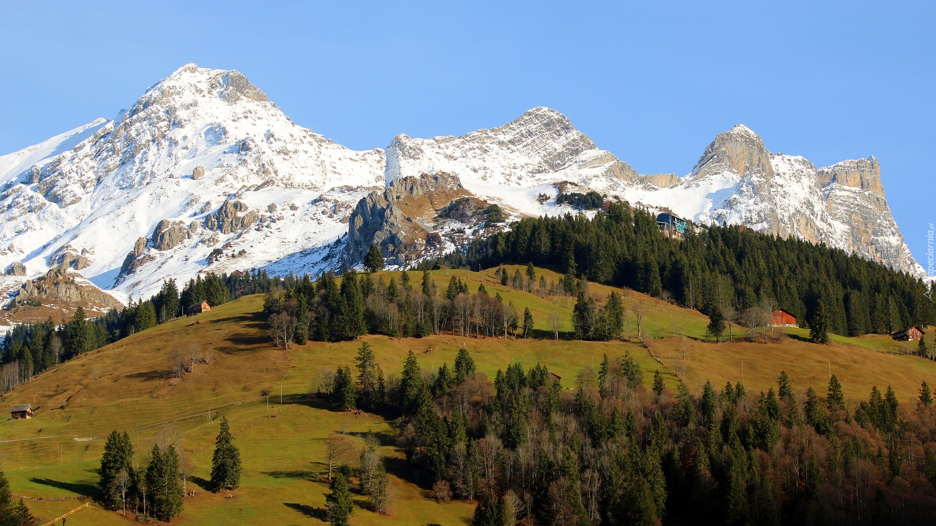 Góry, Alpy, Drzewa, Domy, Wzgórze, Engelberg, Szwajcaria