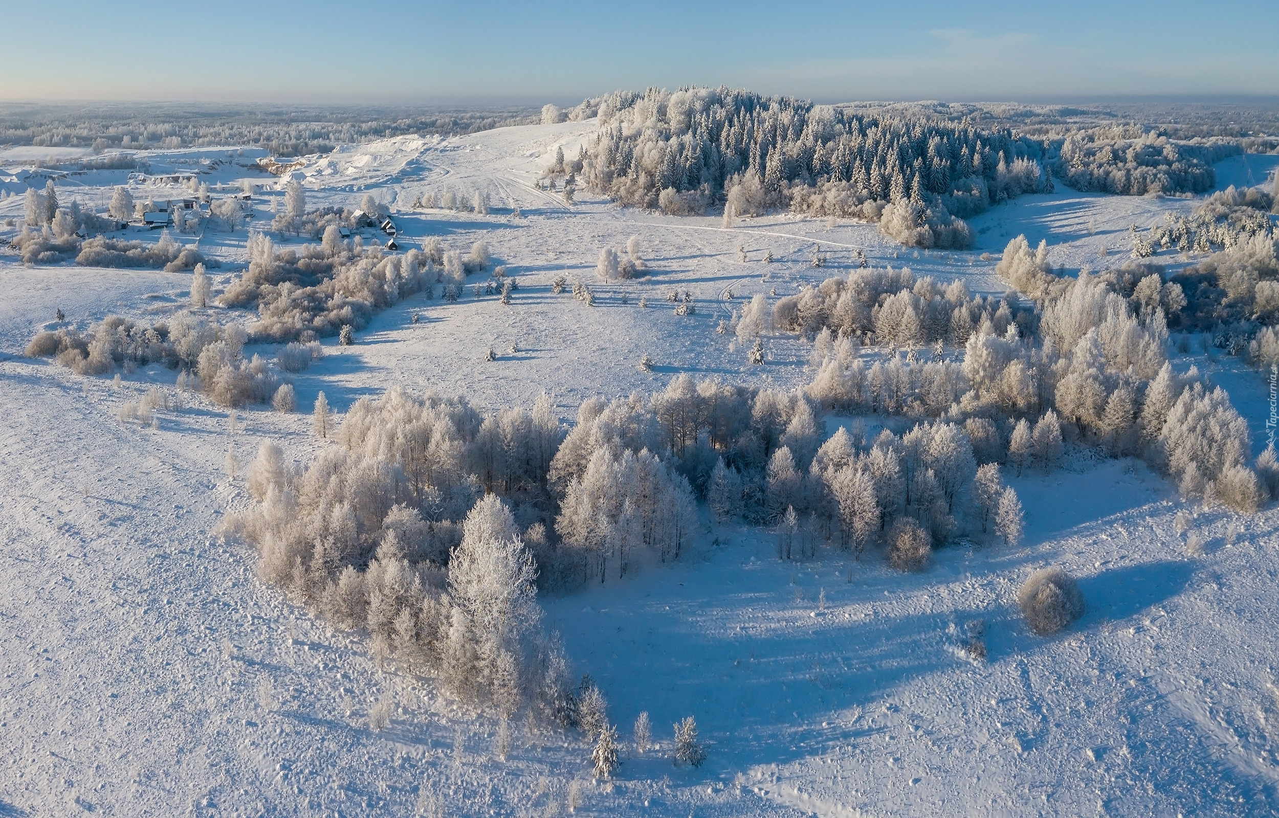 Zima, Śnieg, Wzgórze, Ośnieżone, Drzewa, Domy