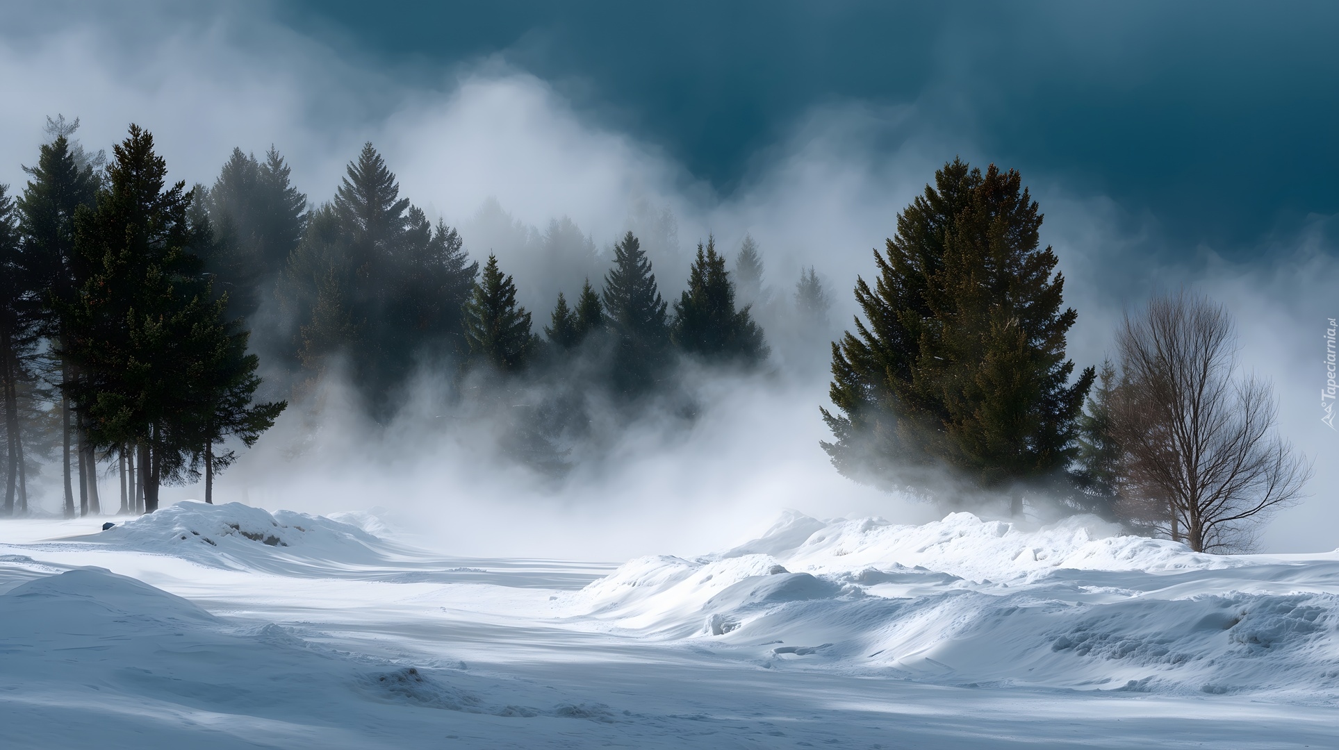 Zima, Droga, Drzewa, Zamieć, Grafika AI