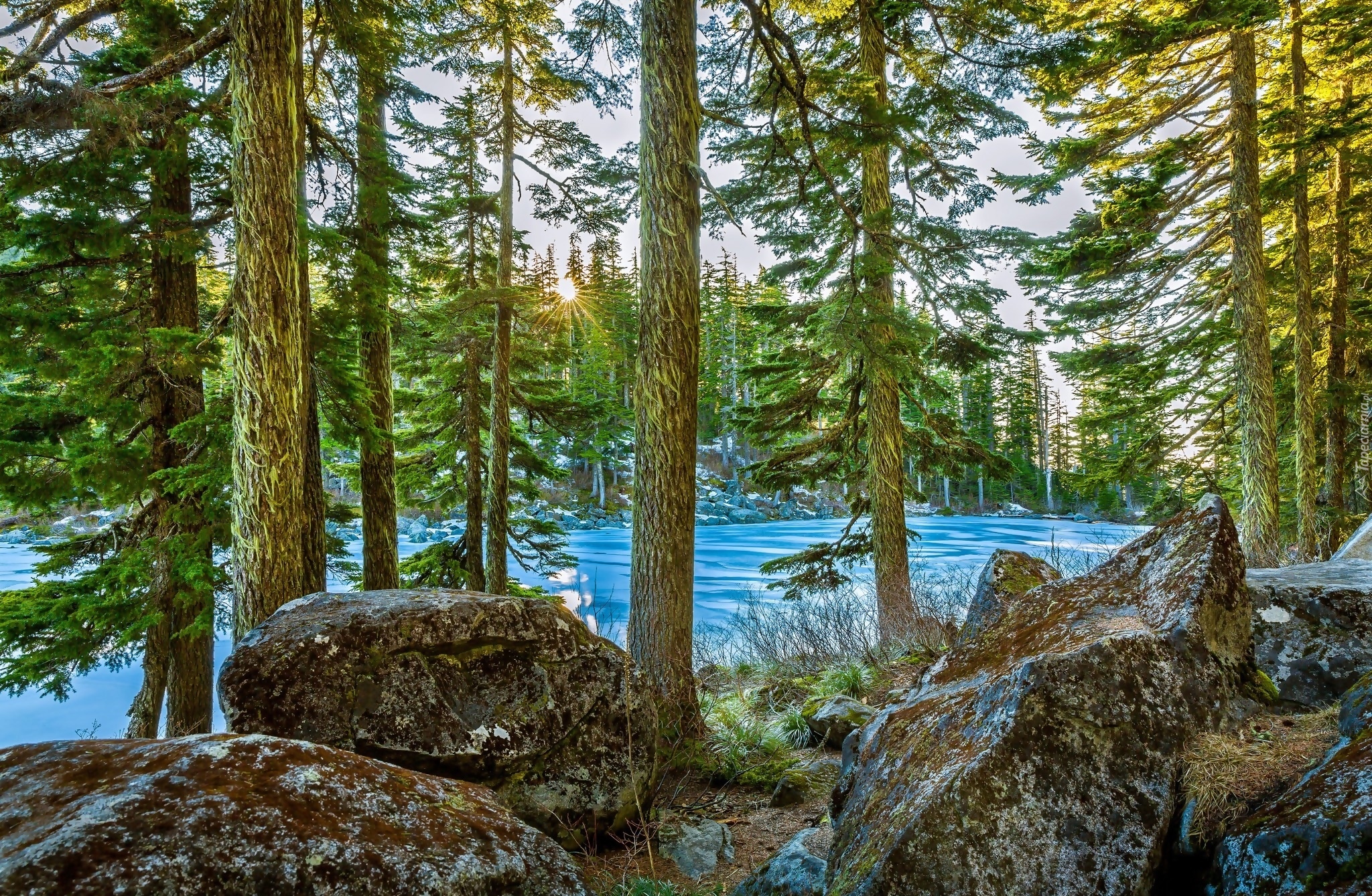 Stany Zjednoczone, Stan Waszyngton, Jezioro Mason Lake, Kamienie, Drzewa, Słońce