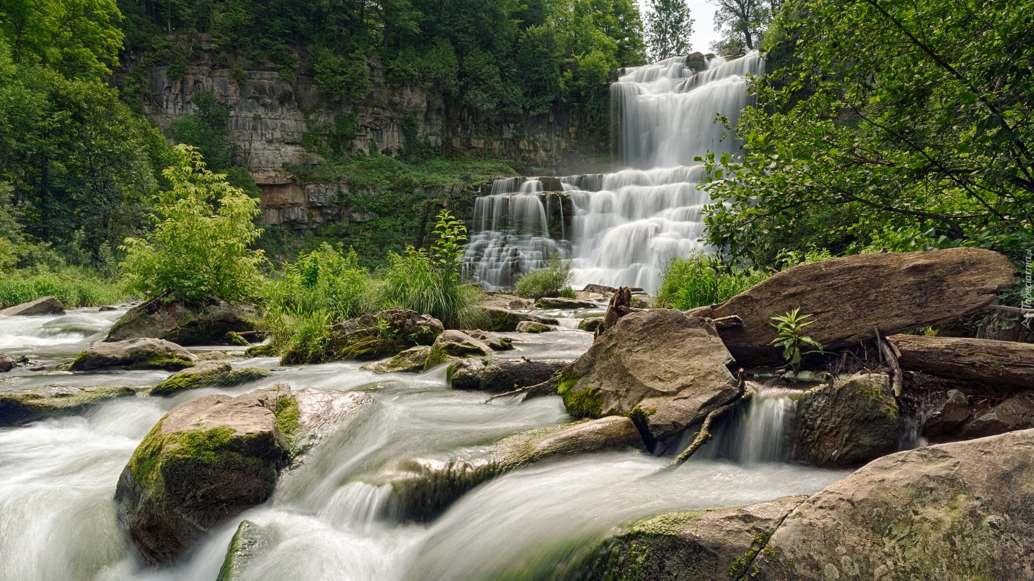 Skały, Wodospad, Chittenango Falls, Rzeka, Drzewa, Nowy Jork, Stany Zjednoczone