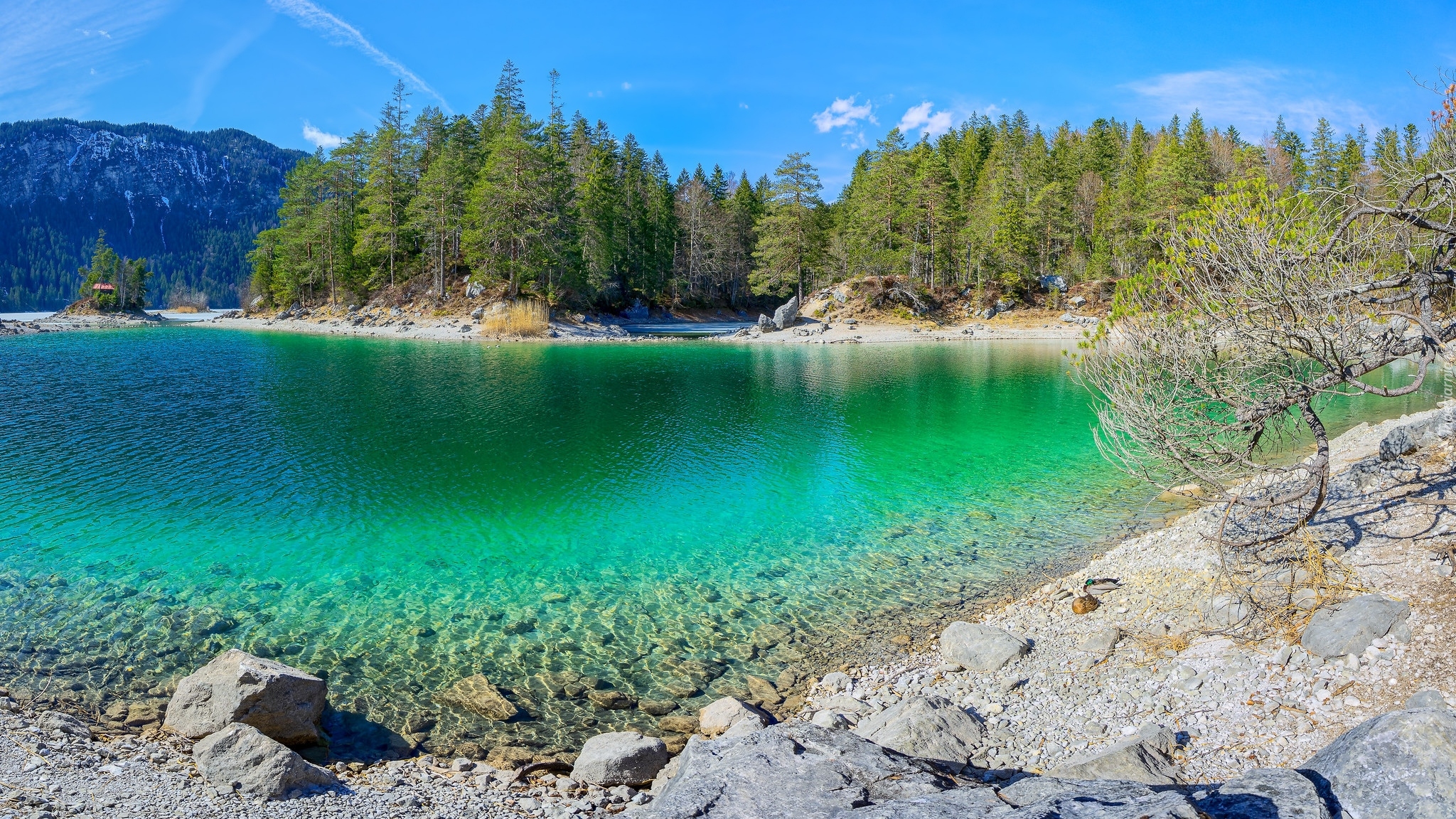 Góry, Jezioro Eibsee, Drzewa, Kamienie, Bawaria, Niemcy