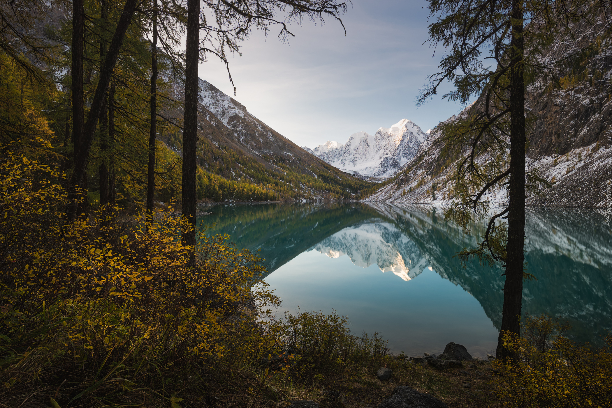 Jezioro Szawlińskie, Góry Ałtaj, Drzewa, Odbicie, Republika Ałtaju, Rosja