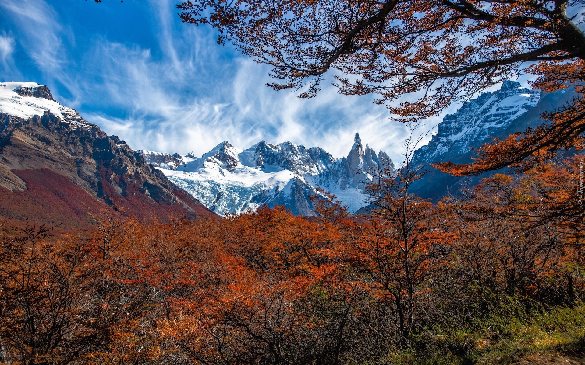 Argentyna, Patagonia, El Chalten, Góry, Mount Fitz Roy, Jesień, Drzewa