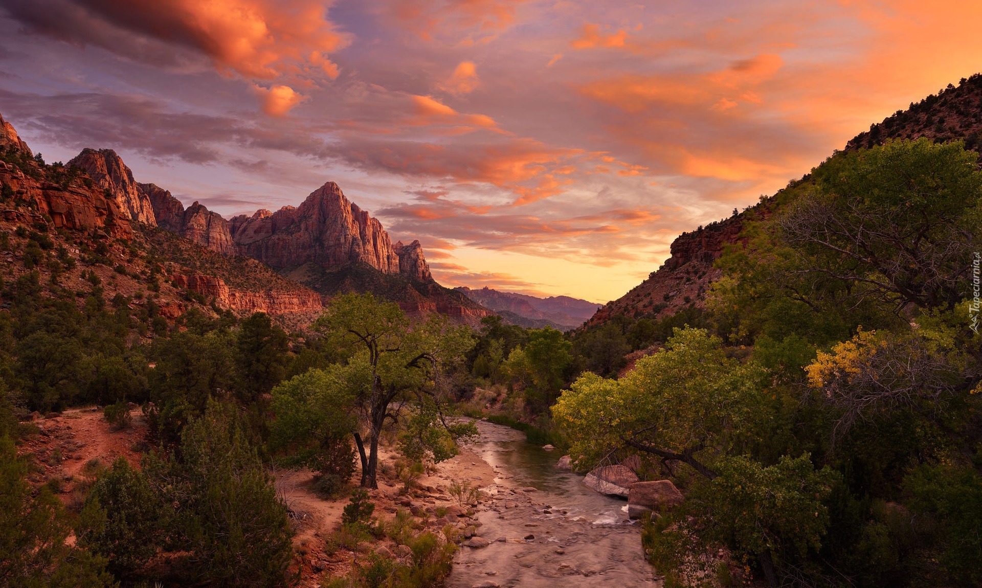 Góry, Rzeka, Virgin River, Drzewa, Chmury, Park Narodowy Zion, Utah, Stany Zjednoczone