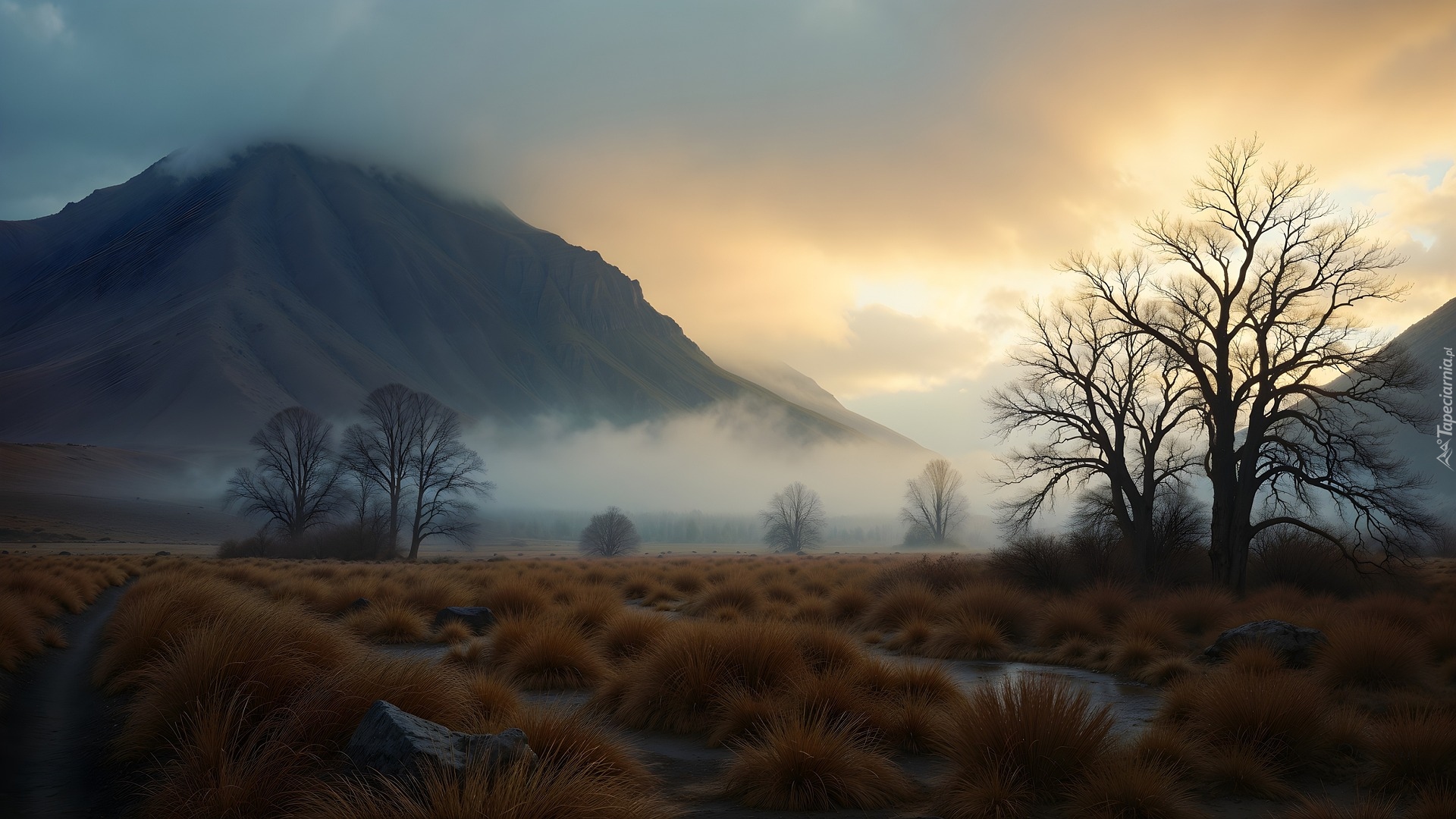 Jesień, Drzewa, Kępki, Traw, Mokradła, Mgła, Góra