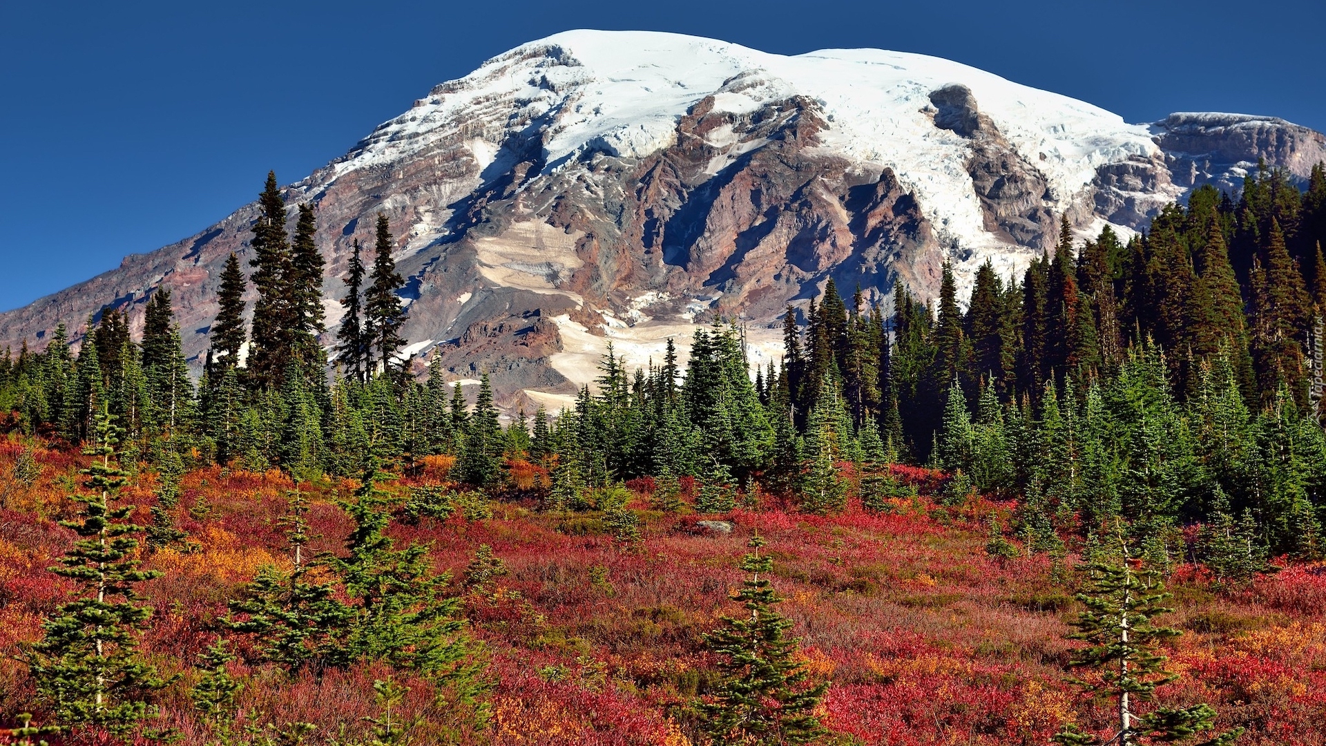 Stany Zjednoczone, Stan Waszyngton, Park Narodowy Mount Rainier, Góry, Ośnieżony, Stratowulkan Mount Rainier, Jesień, Drzewa, Roślinność