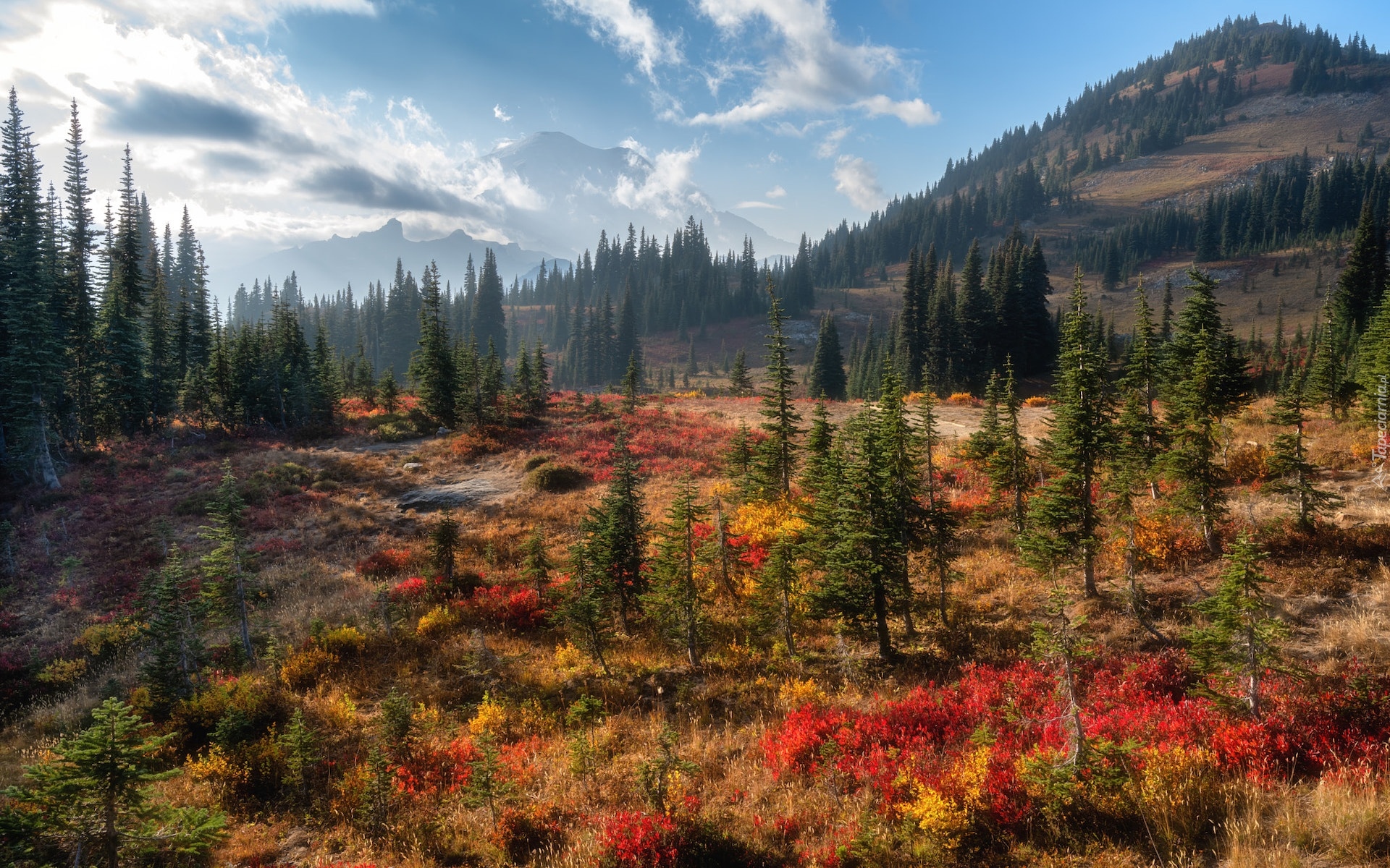 Stany Zjednoczone, Stan Waszyngton, Park Narodowy Mount Rainier, Góry, Jesień, Drzewa, Przebijające światło