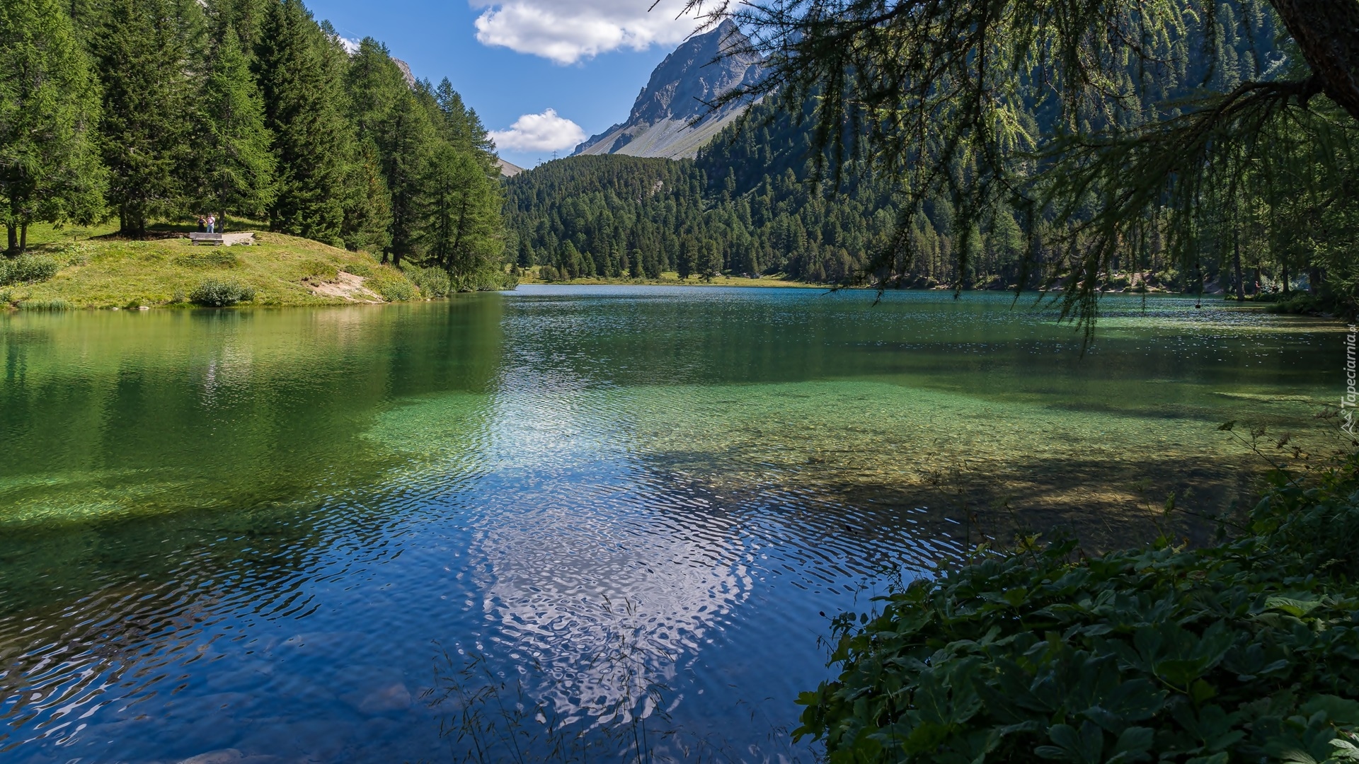 Góry, Jezioro, Zielone, Drzewa, Las