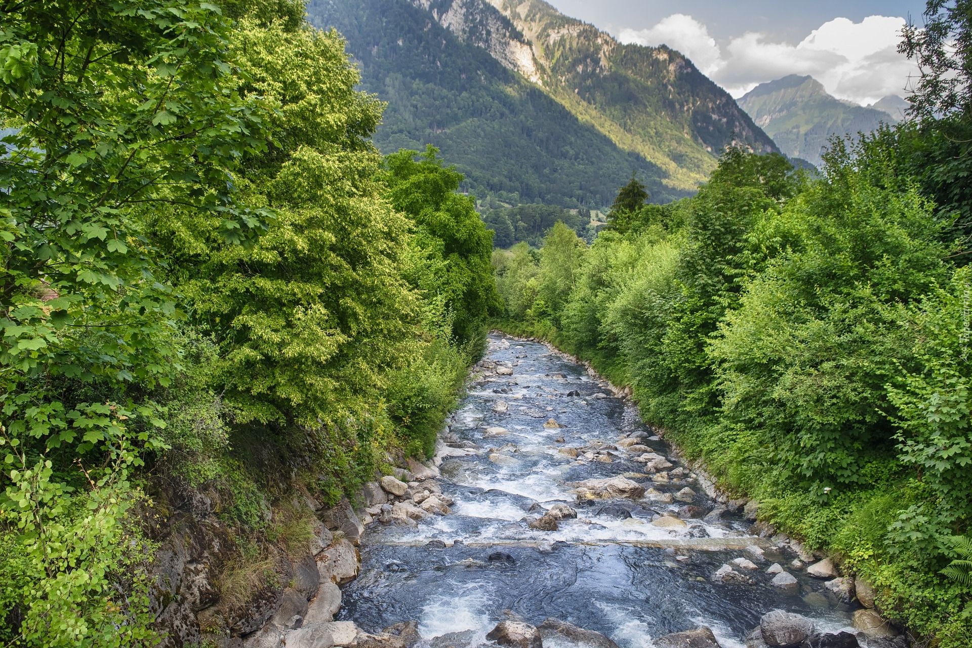Rzeka, Drzewa, Krzewy, Góry, Kamienie