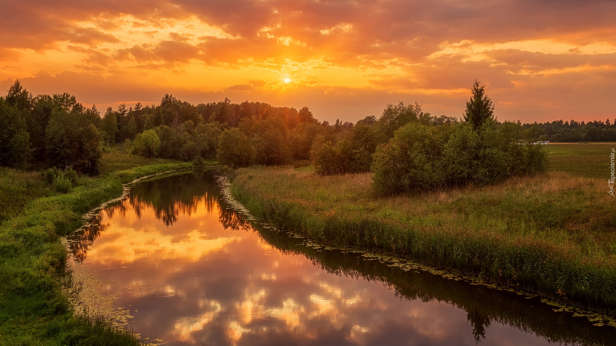 Rzeka, Drzewa, Krzewy, Zachód słońca