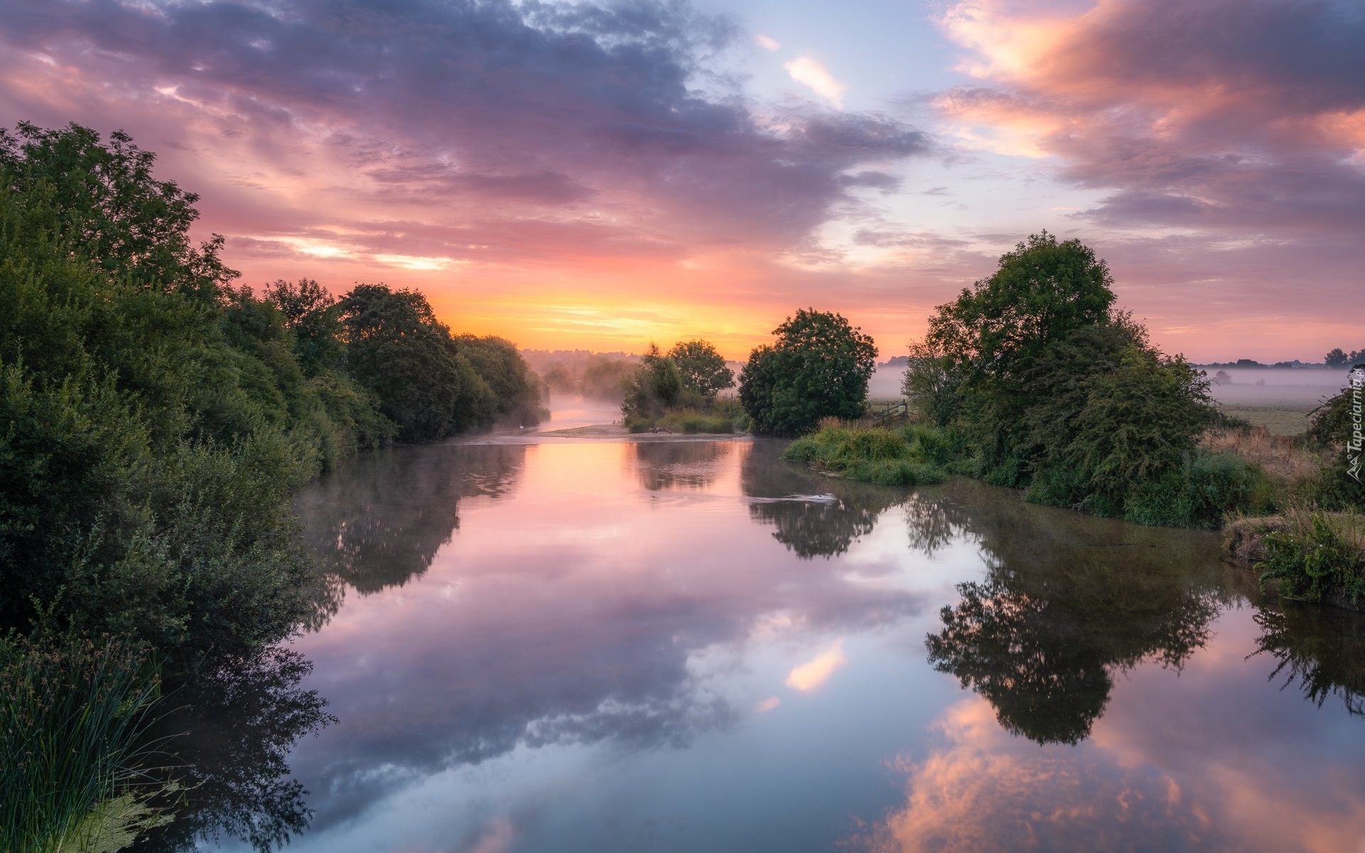 Rzeka, River Stour, Drzewa, Mgła, Chmury, Anglia