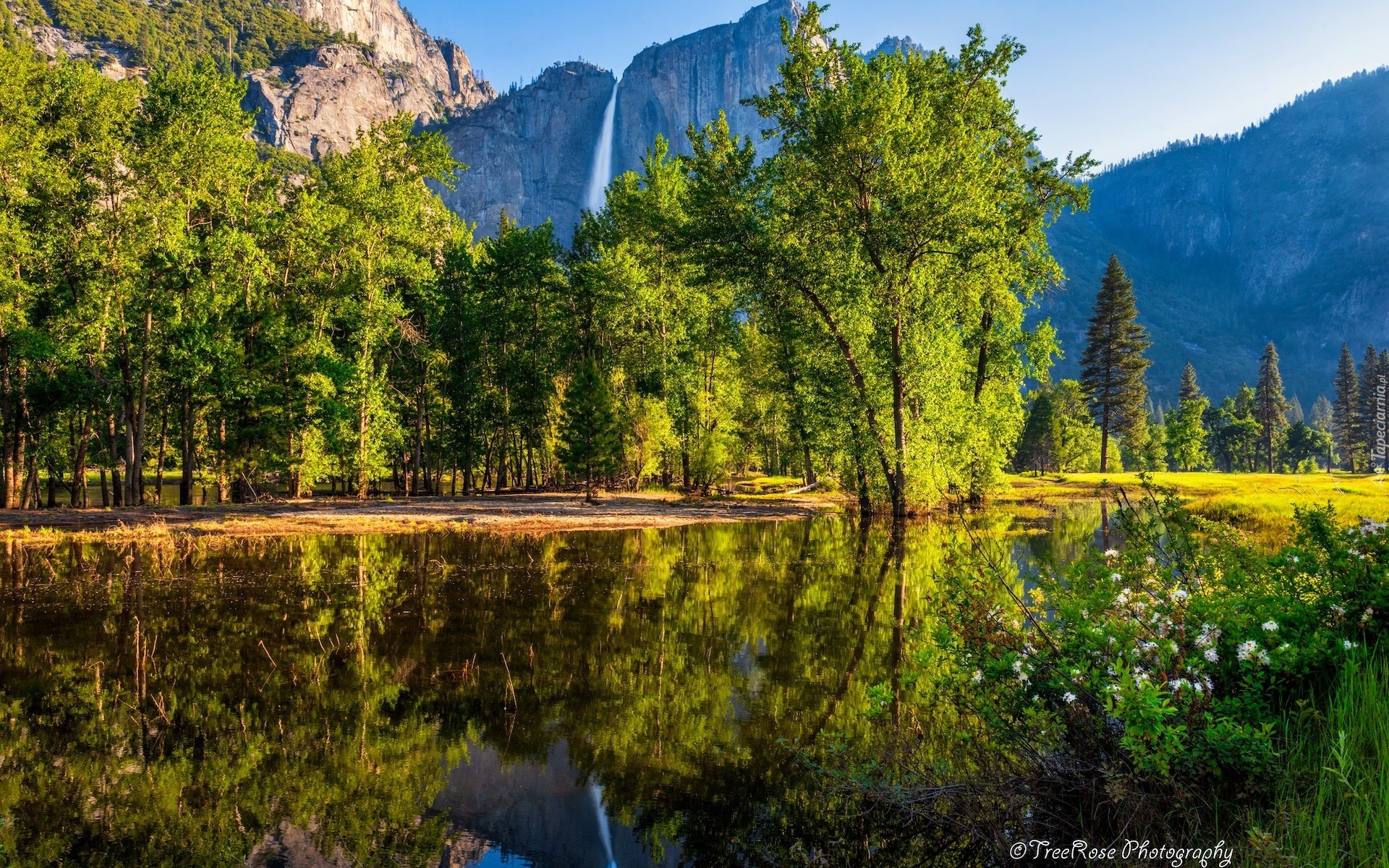 Stany Zjednoczone, Kalifornia, Park Narodowy Yosemite, Góry, Wodospad, Rzeka, Drzewa