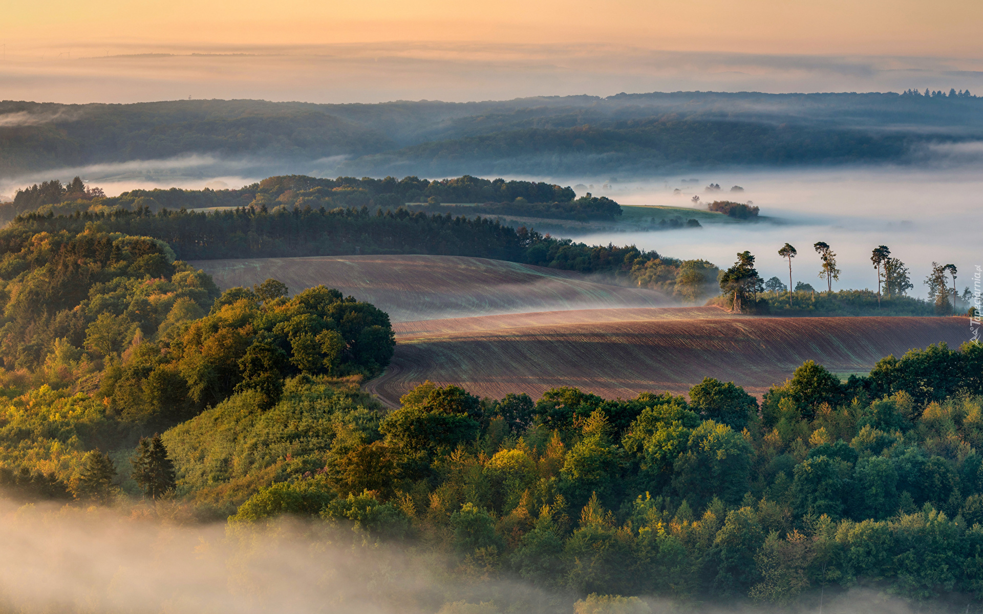 Wzgórza, Drzewa, Pola, Mgła, Poranek, Z lotu ptaka