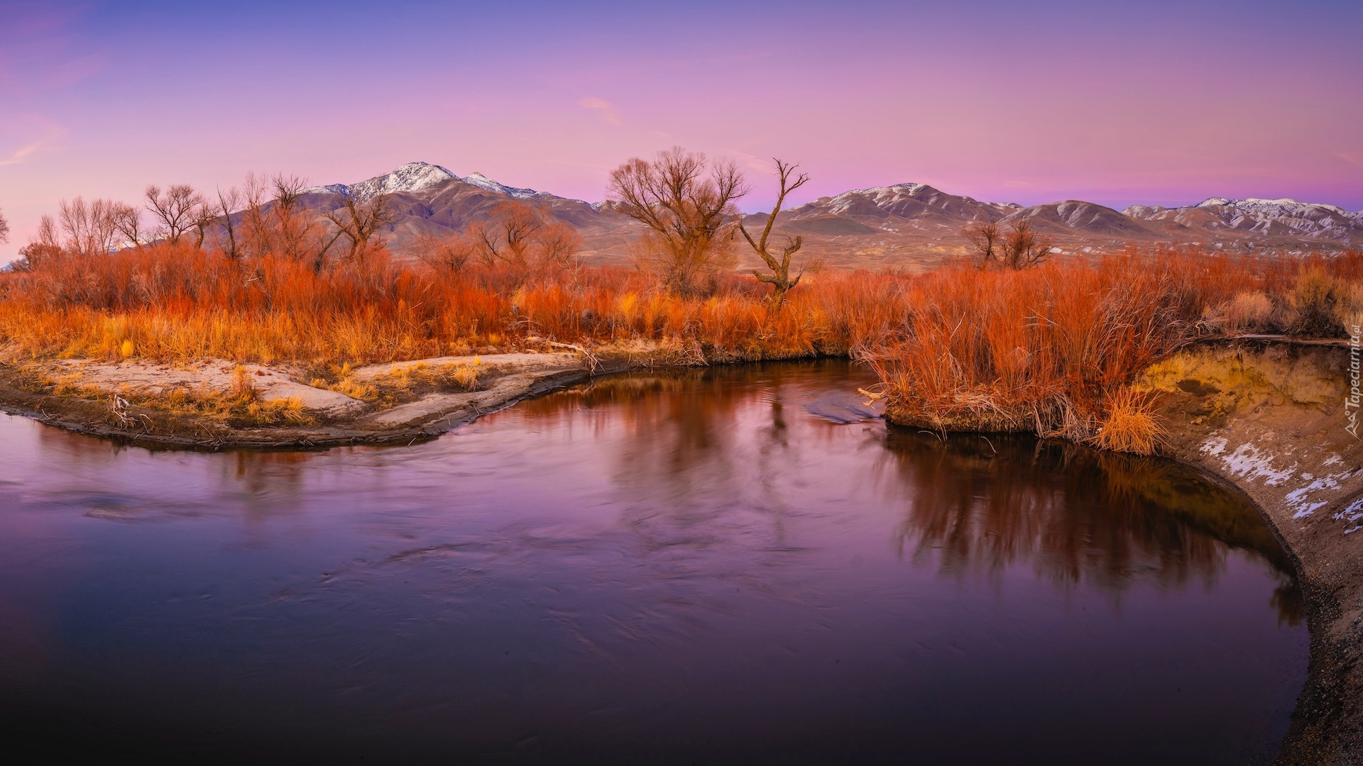 Góry, Jesień, Drzewa, Rośliny, Dolina Owens Valley, Rzeka, Owens River, Eastern Sierra, Kalifornia, Stany Zjednoczone