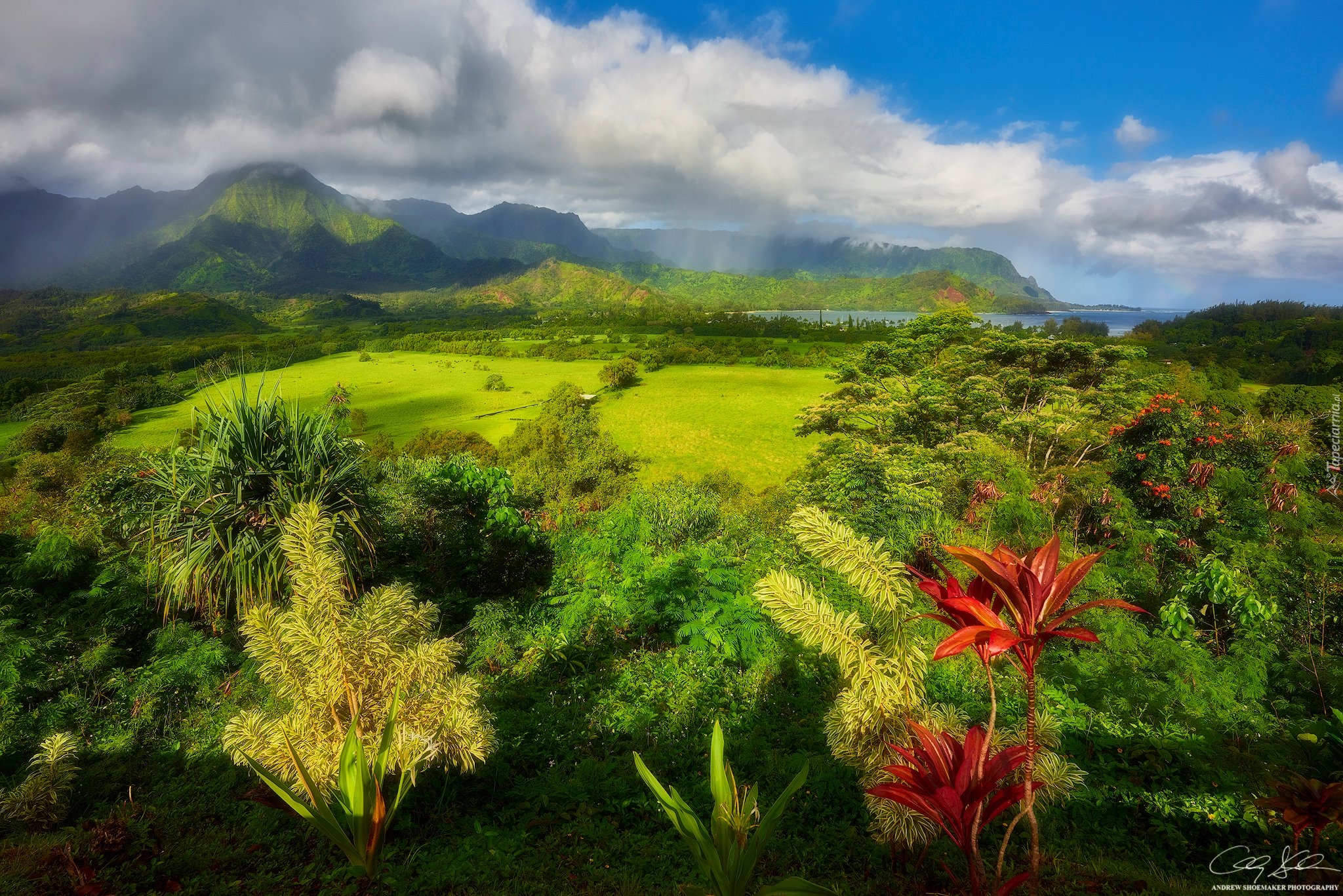 Hawaje, Góry, Morze, Chmury, Drzewa, Roślinność