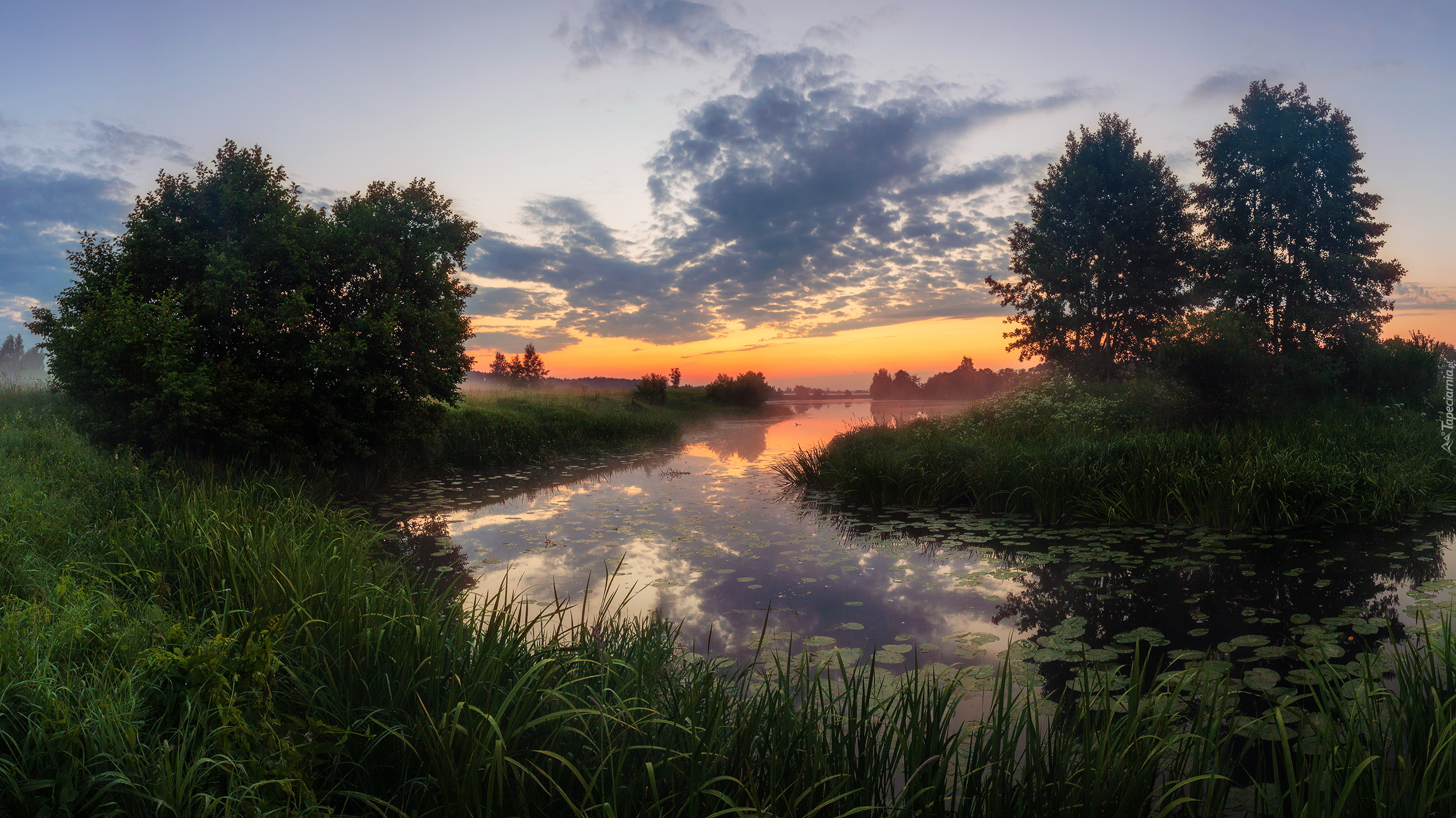 Rzeka, Trawy, Drzewa, Wschód słońca, Chmury