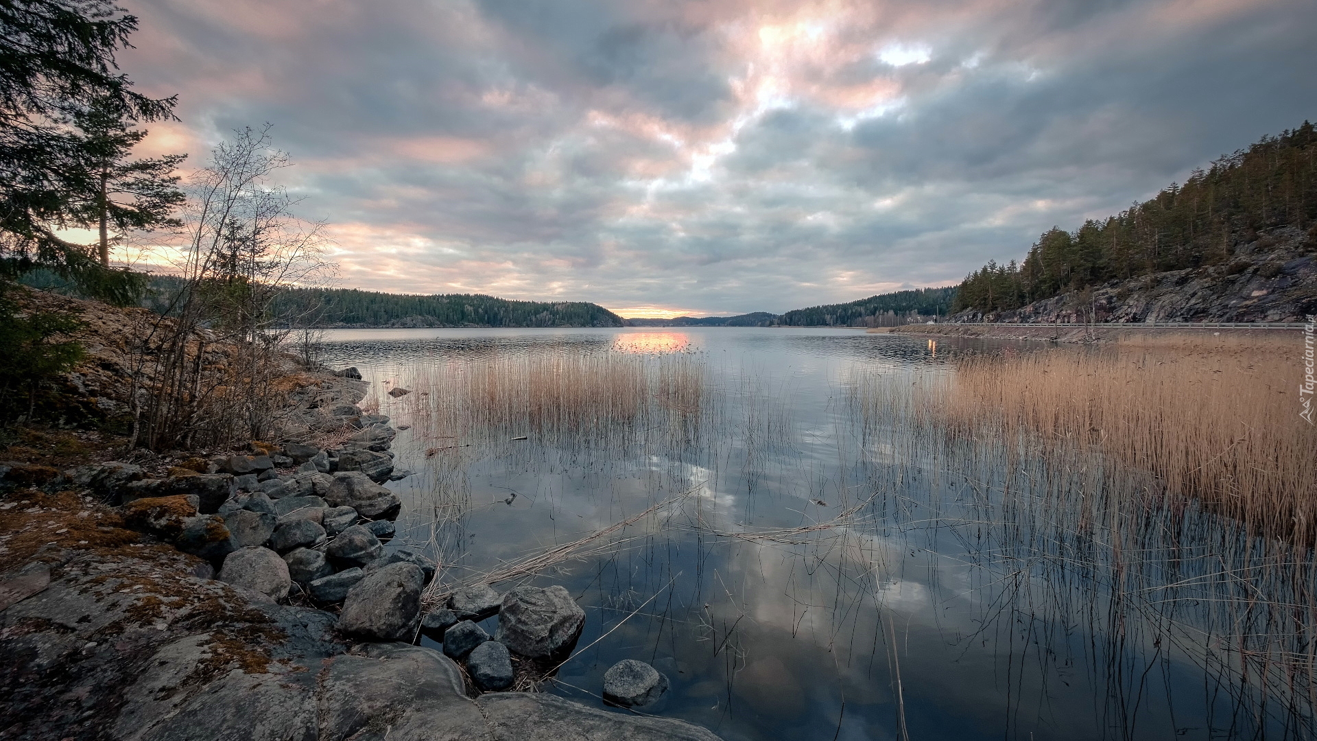 Zachód słońca, Drzewa, Skały, Trawy, Jezioro Ładoga, Zatoka Kiryavalahti, Karelia, Rosja