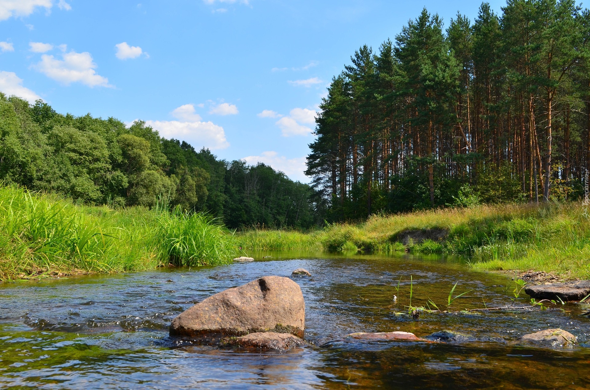 Rzeka, Drzewa, Zielona, Trawa, Kamienie