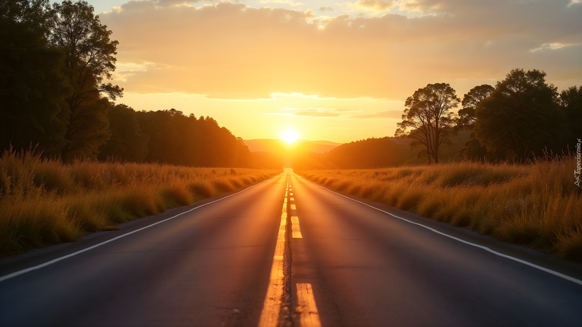 Droga, Zachód słońca, Drzewa, AI