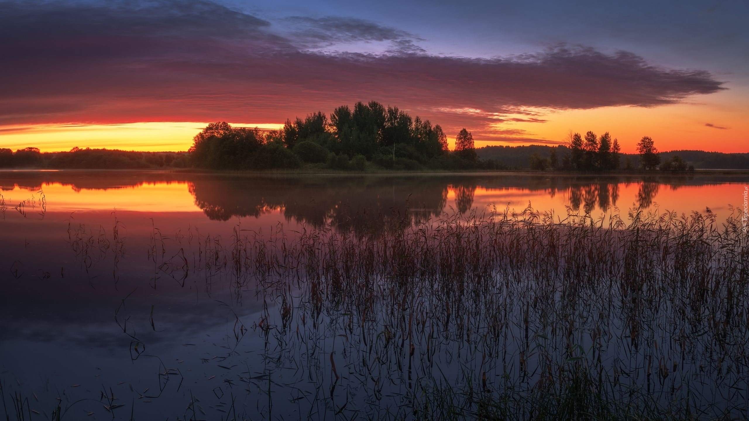 Zachód słońca, Drzewa, Jezioro, Trawa