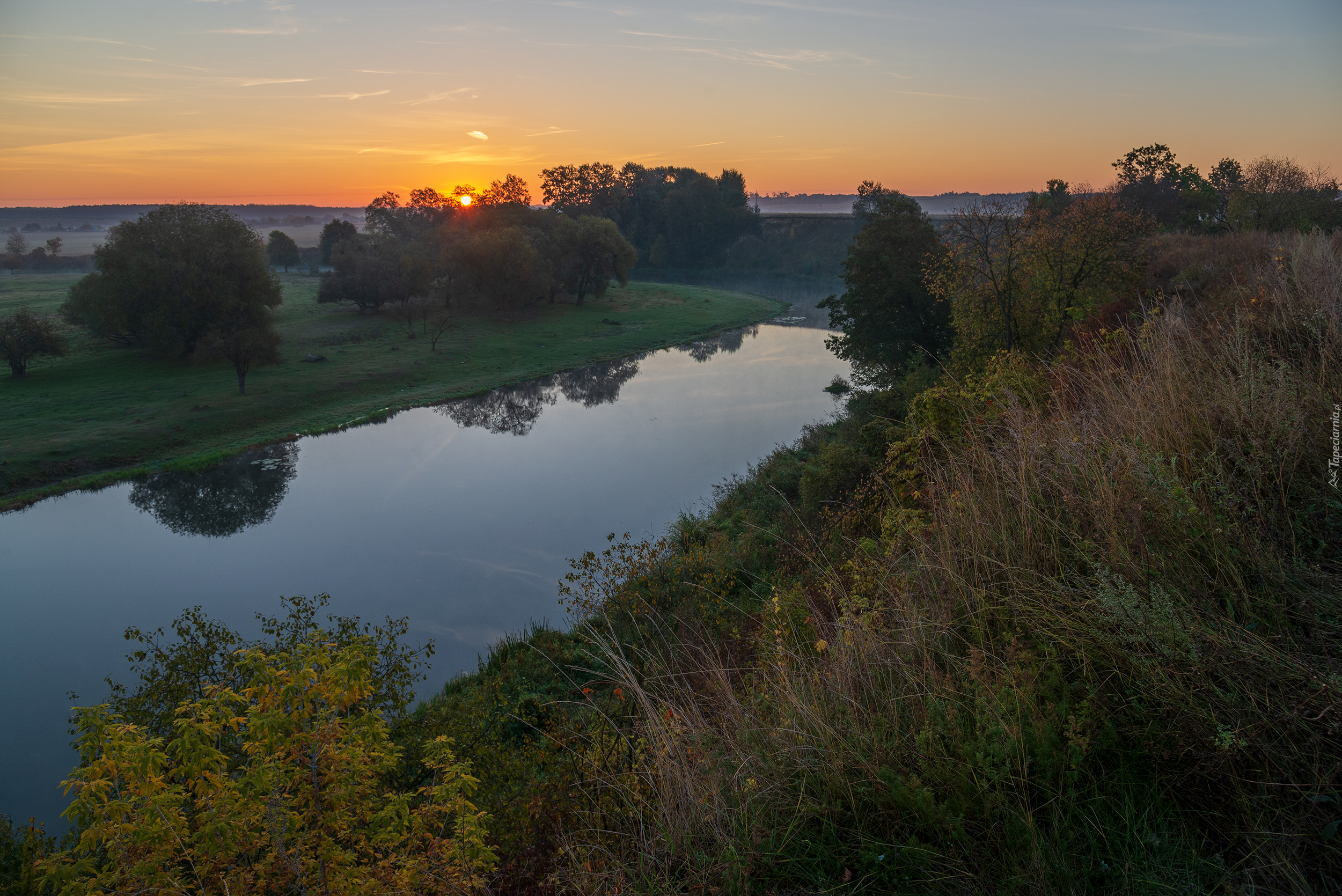 Rzeka, Drzewa, Trawa, Krzewy, Wschód słońca