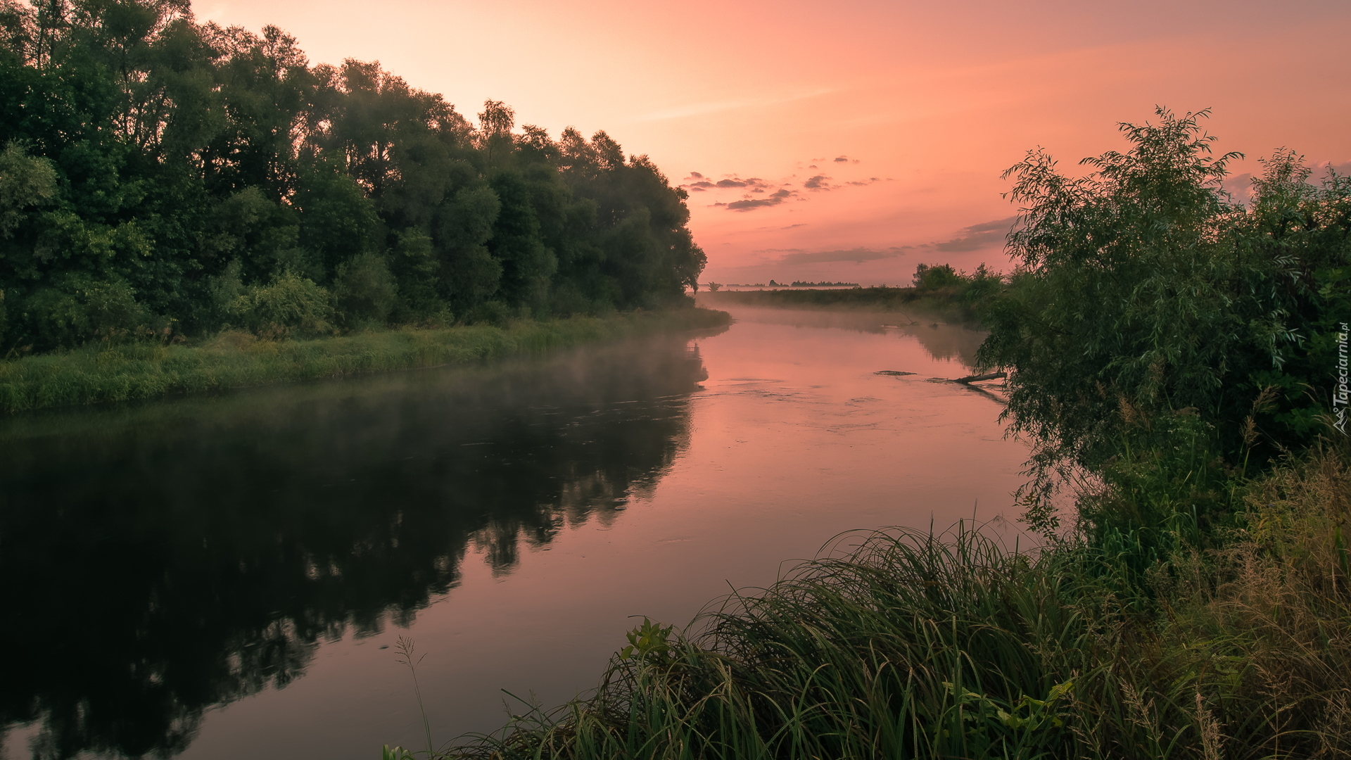 Rzeka, Drzewa, Trawa, Krzewy, Zachód słońca