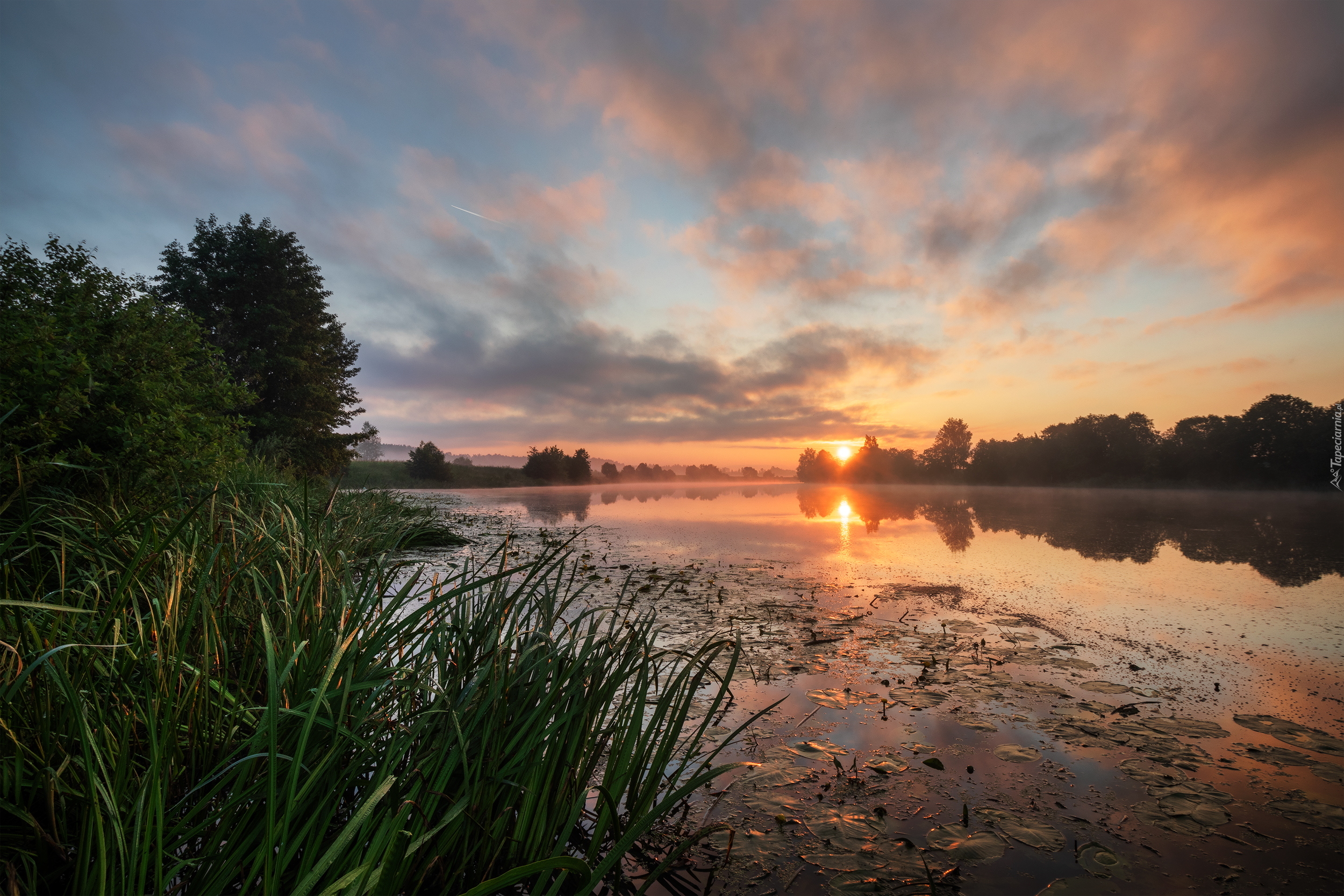 Rzeka, Wschód słońca, Drzewa, Trawy