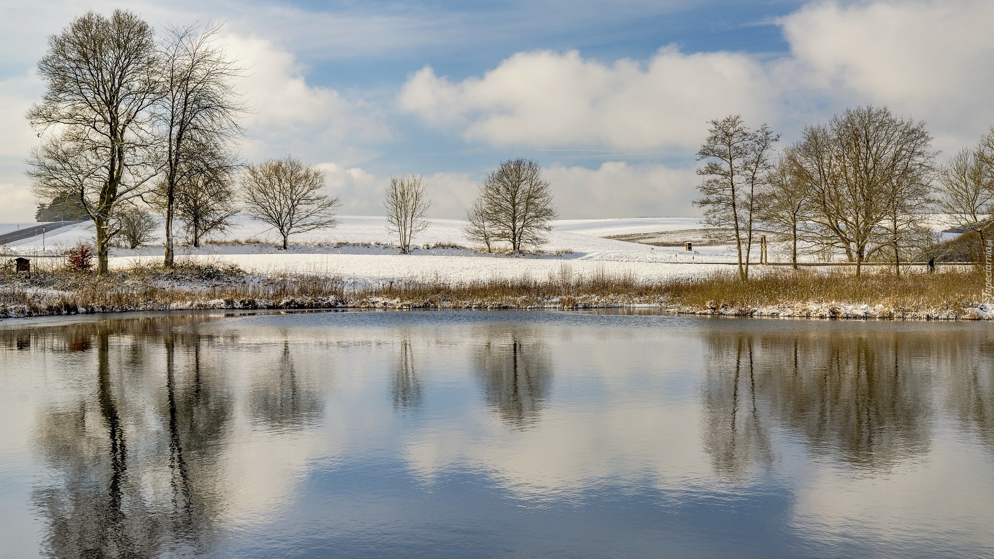 Zima, Śnieg, Drzewa, Jezioro, Odbicie