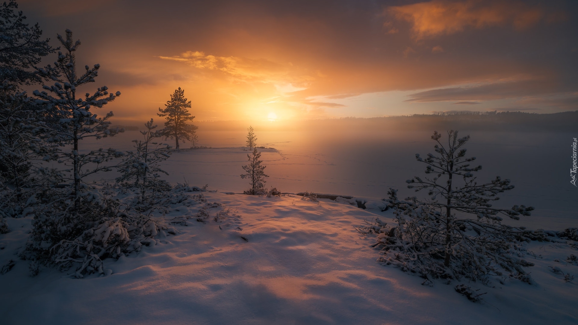 Norwegia, Ringerike, Zima, Zachód słońca, Śnieg, Drzewa, Jezioro