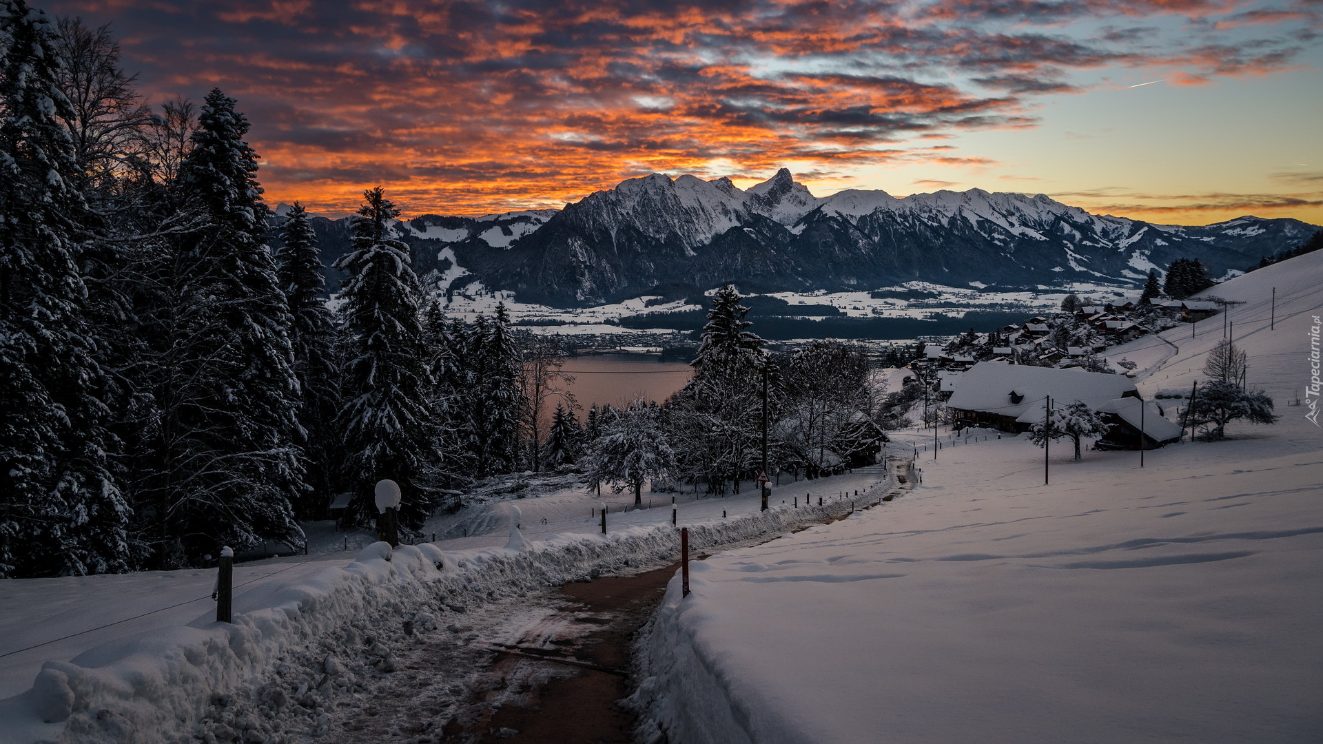 Zima, Góry, Alpy Berneńskie, Jezioro Thunersee, Wschód słońca, Drzewa, Droga, Ośnieżone, Domy, Kanton Berno, Szwajcaria