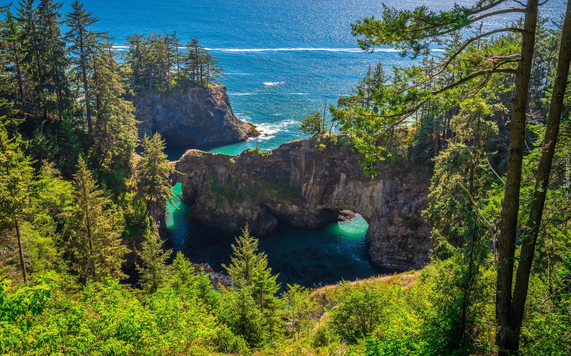 Skały, Most skalny, Drzewa, Morze, Punkt widokowy, Natural Bridges Viewpoint, Brookings, Oregon, Stany Zjednoczone