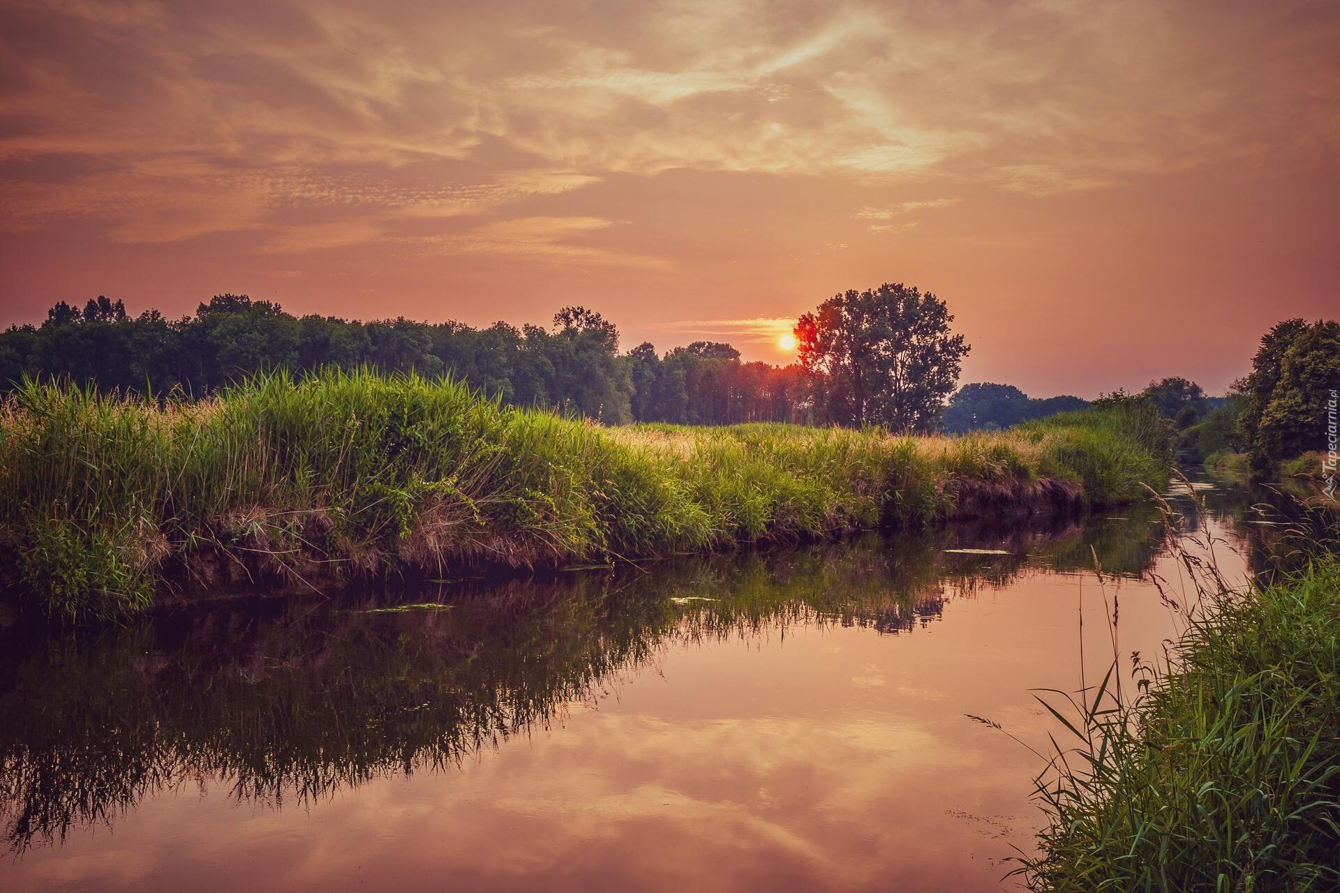 Rzeka, Trawa, Drzewa, Chmury, Zachód słońca