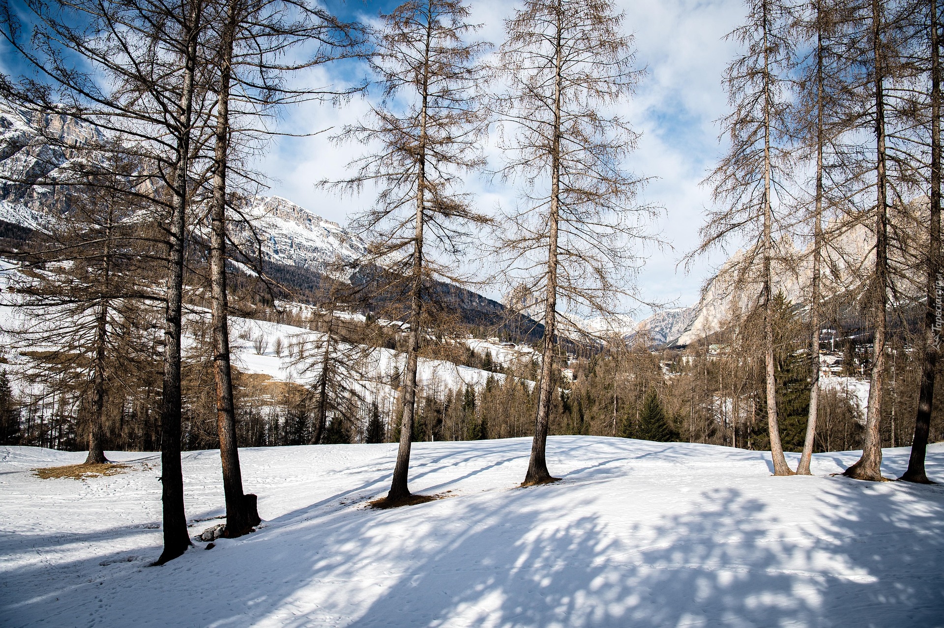 Śnieg, Drzewa, Góry, Zima
