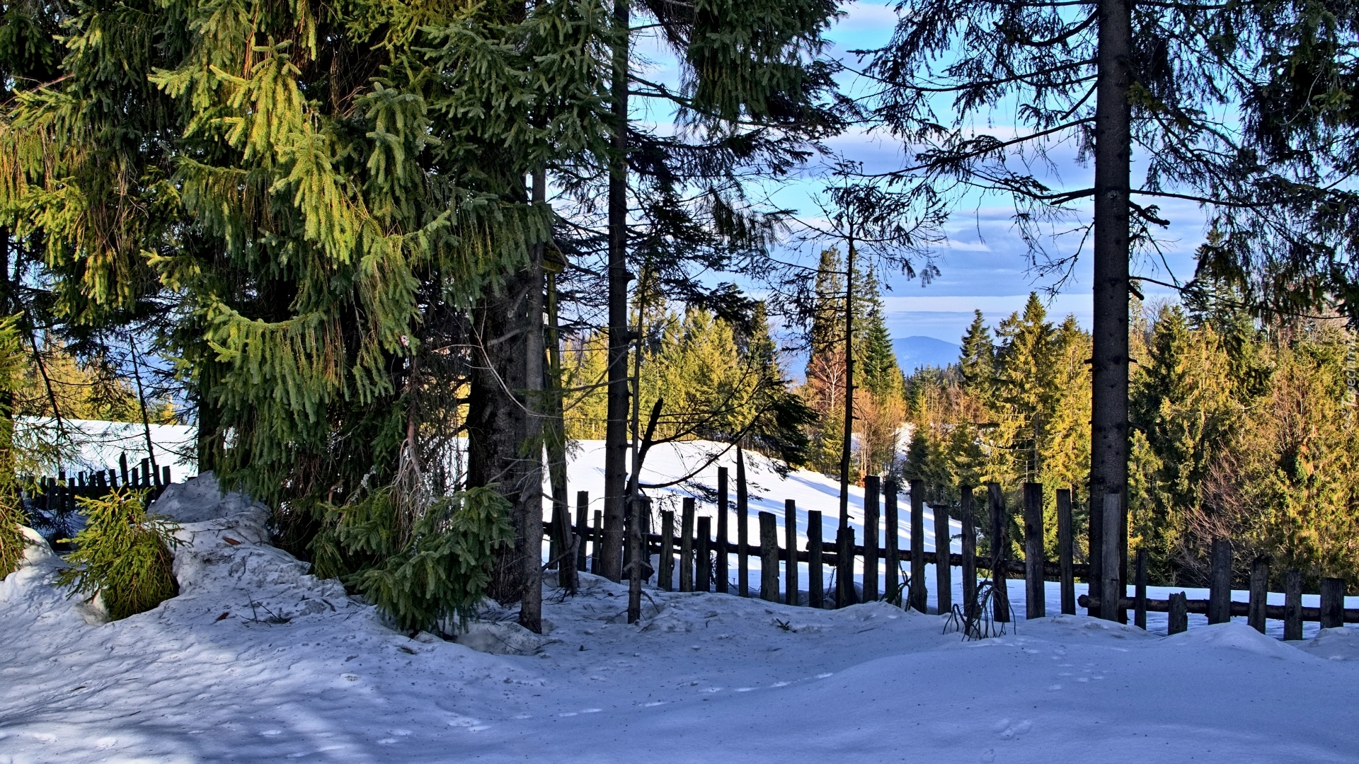 Zima, Śnieg, Płot, Drzewa, Słoneczny, Dzień