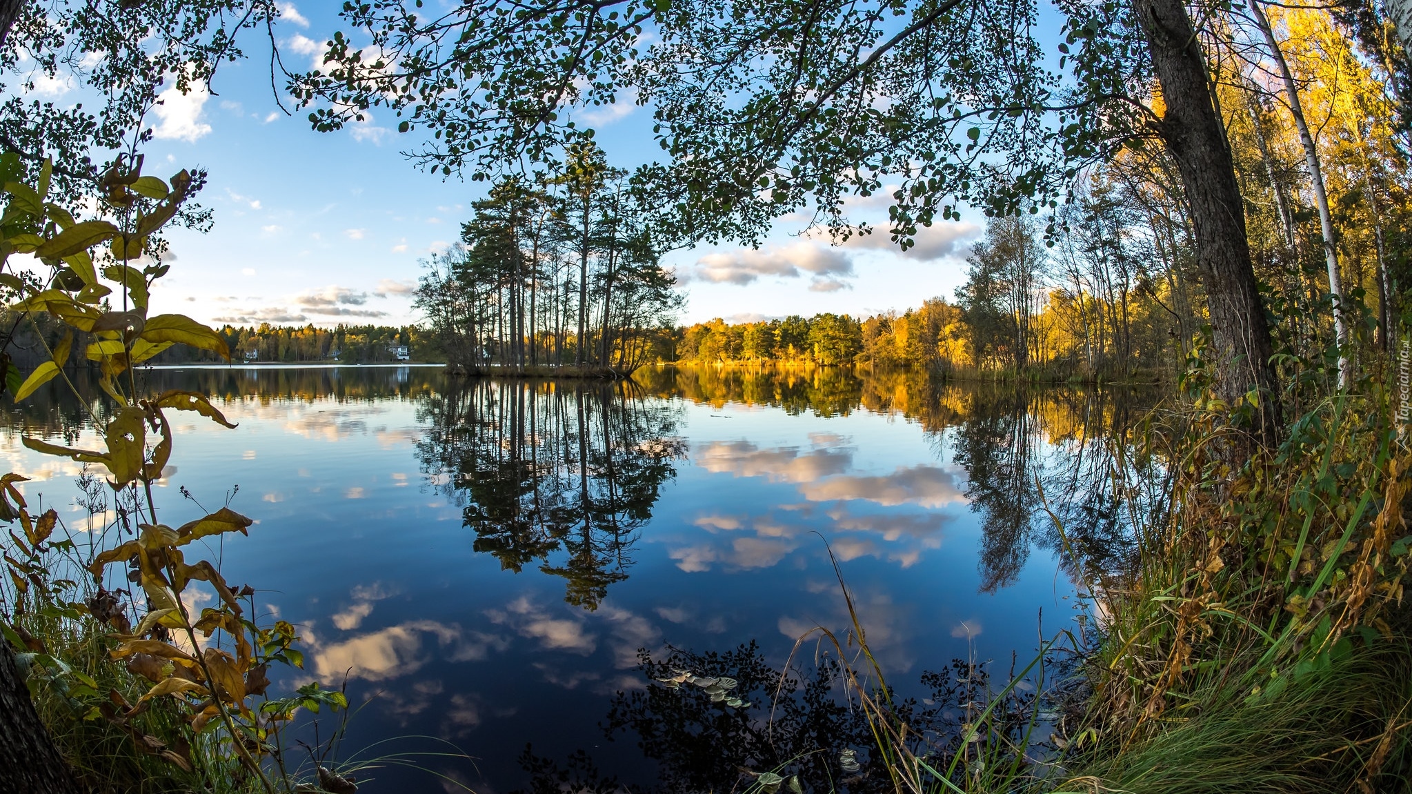 Jesień, Jezioro, Drzewa, Gałęzie, Rośliny