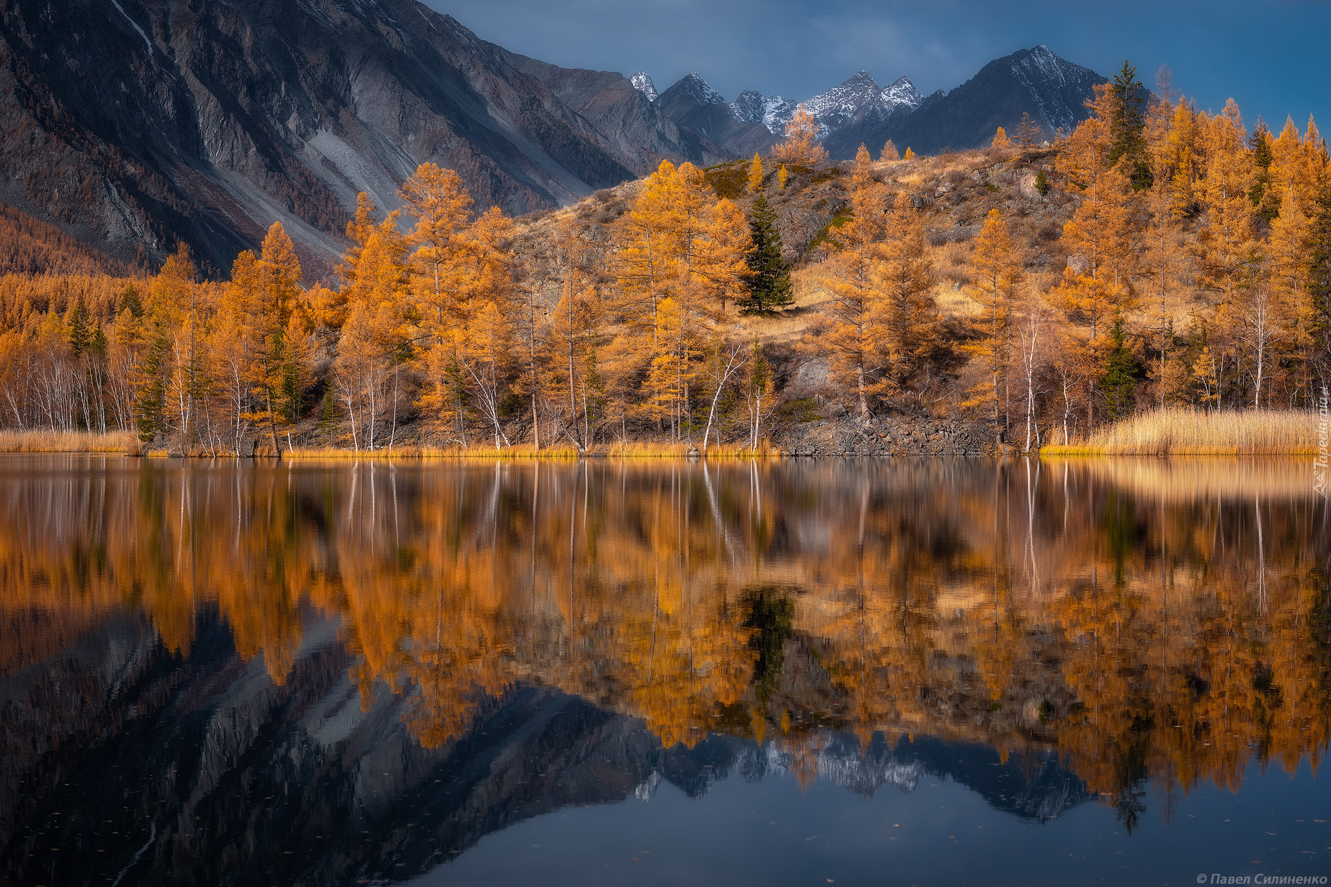 Jesień, Góry, Drzewa, Jezioro Kindyktykul, Odbicie, Republika Ałtaju, Rosja